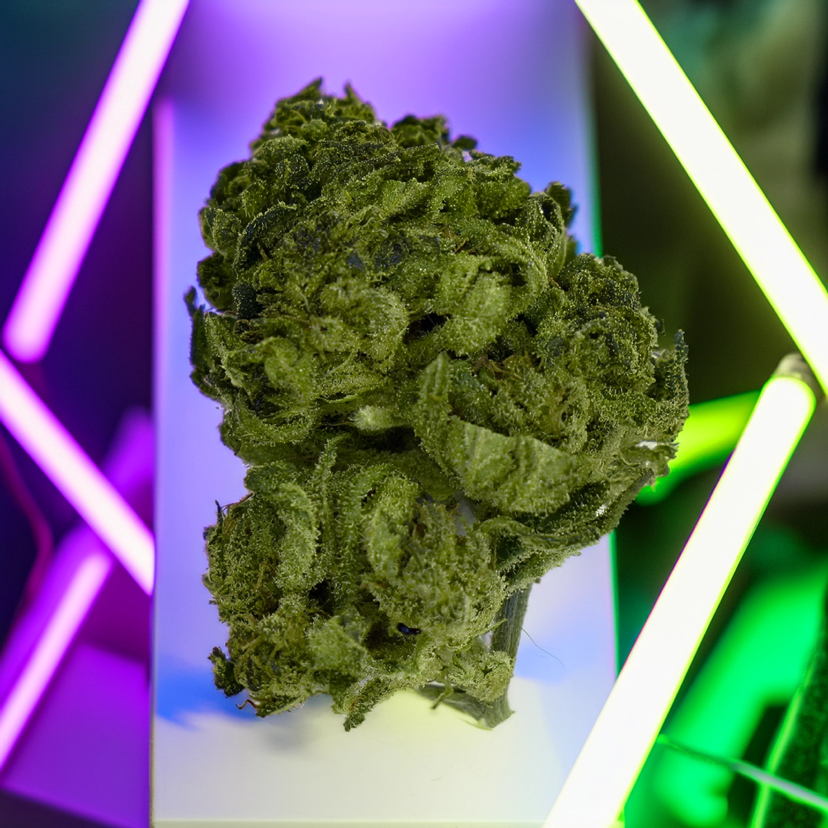 Fleur de CBD Super Haze