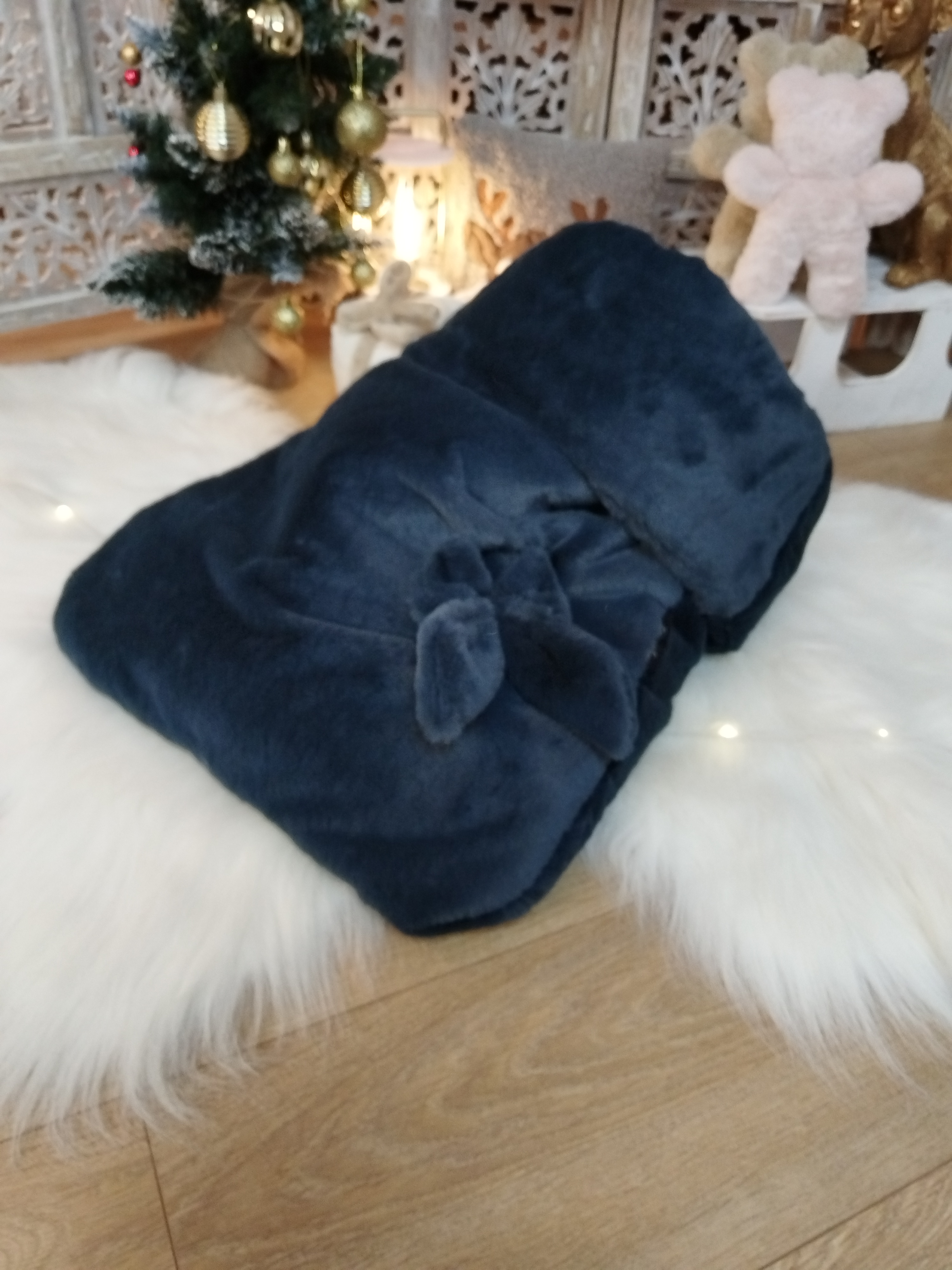 Nid Douillet - Galaxy