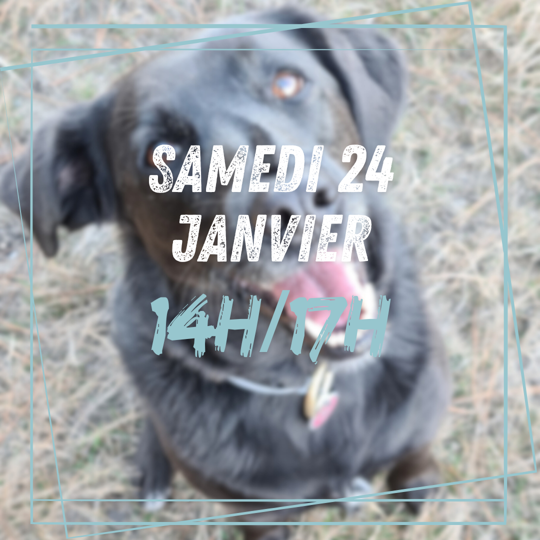14~ Samedi 24 Janvier 14h/17h