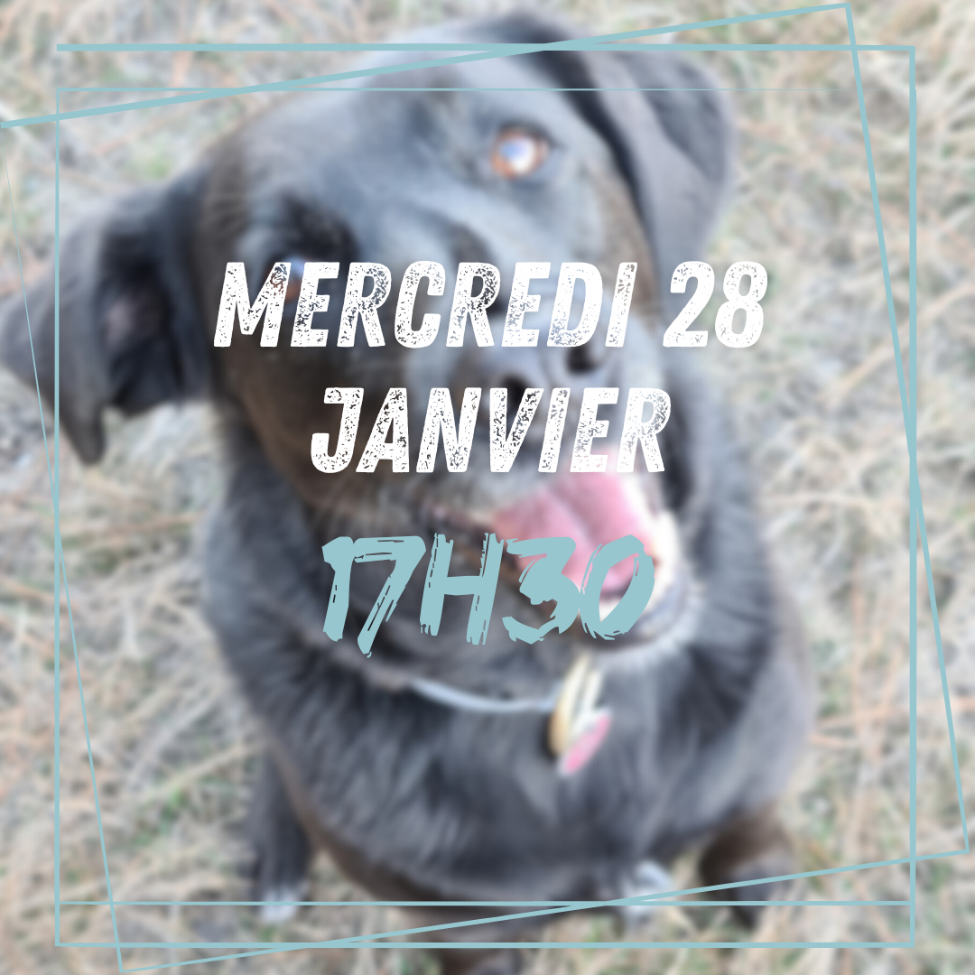13~ Mercredi 28 Janvier 17h30