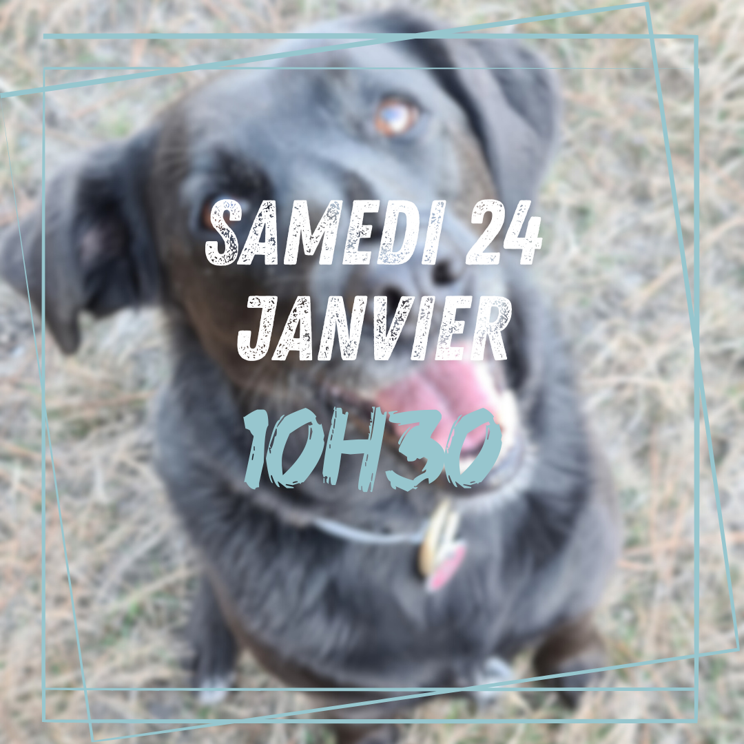 13~ Samedi 24 Janvier 10h30