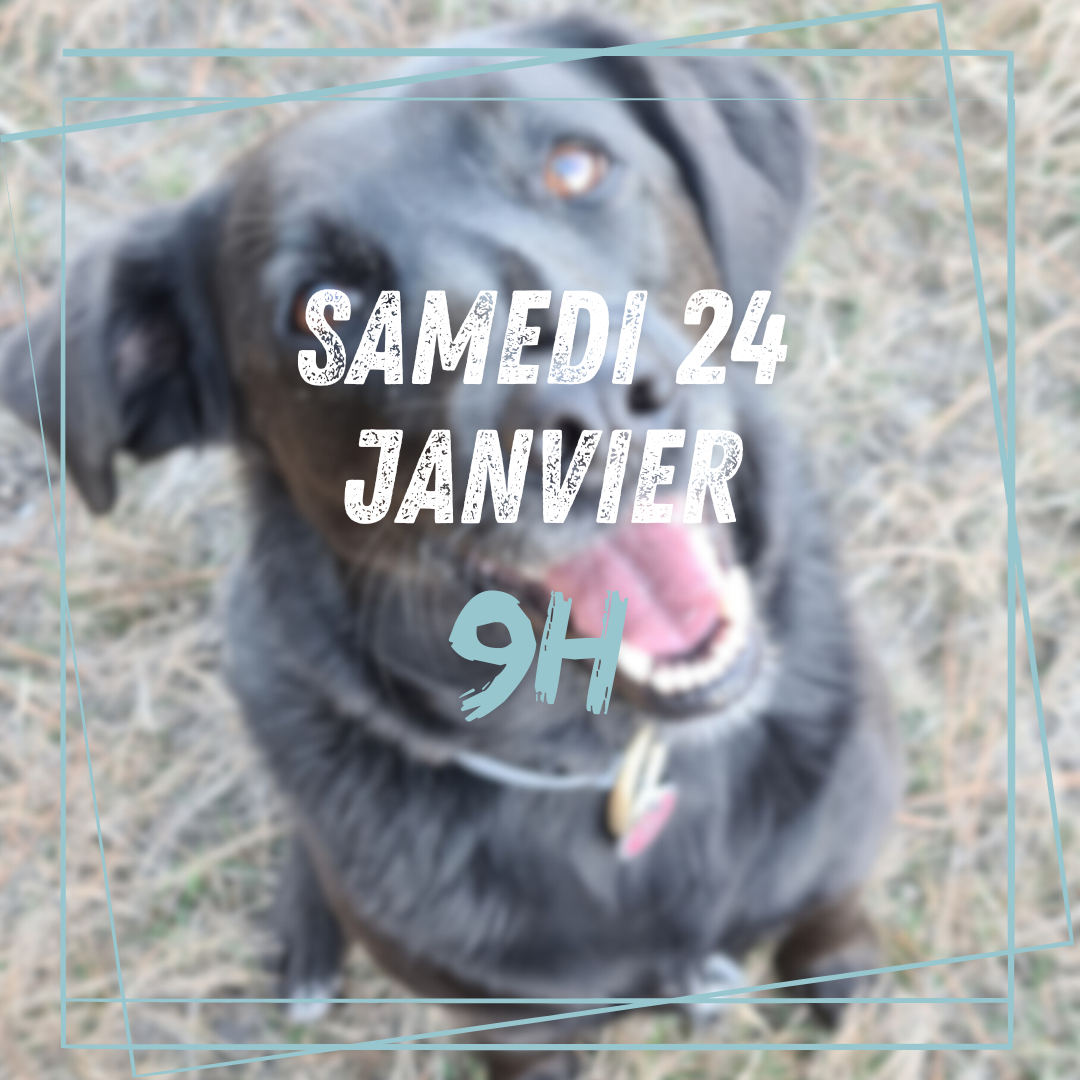 13~ Samedi 24 Janvier 9h