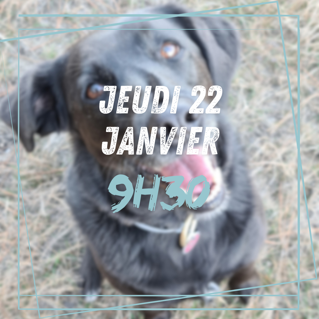 13~ Jeudi 22 Janvier 9h30
