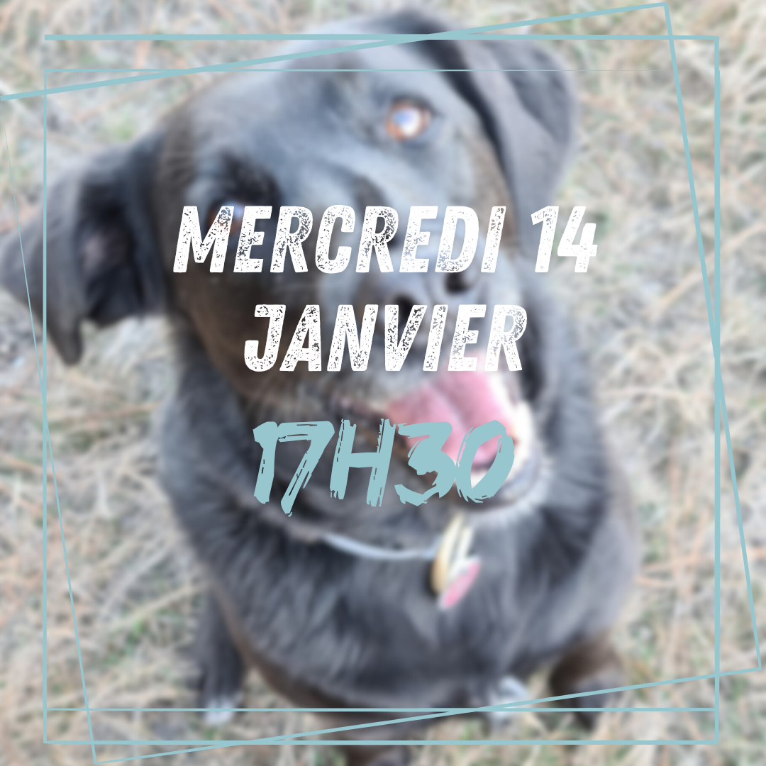 13~ Mercredi 14 Janvier 17h30