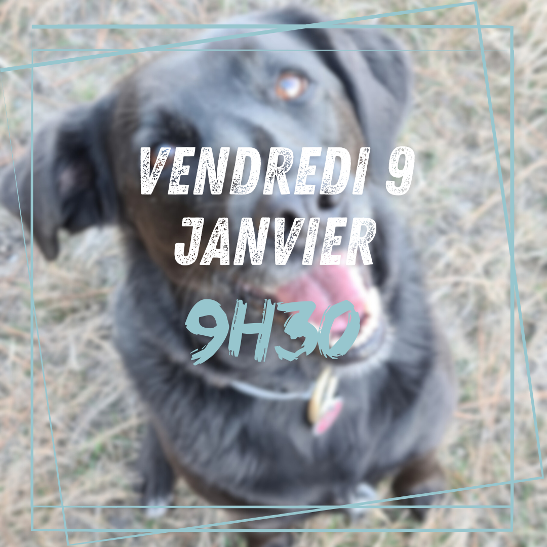 13~ Vendredi 9 Janvier 9h30