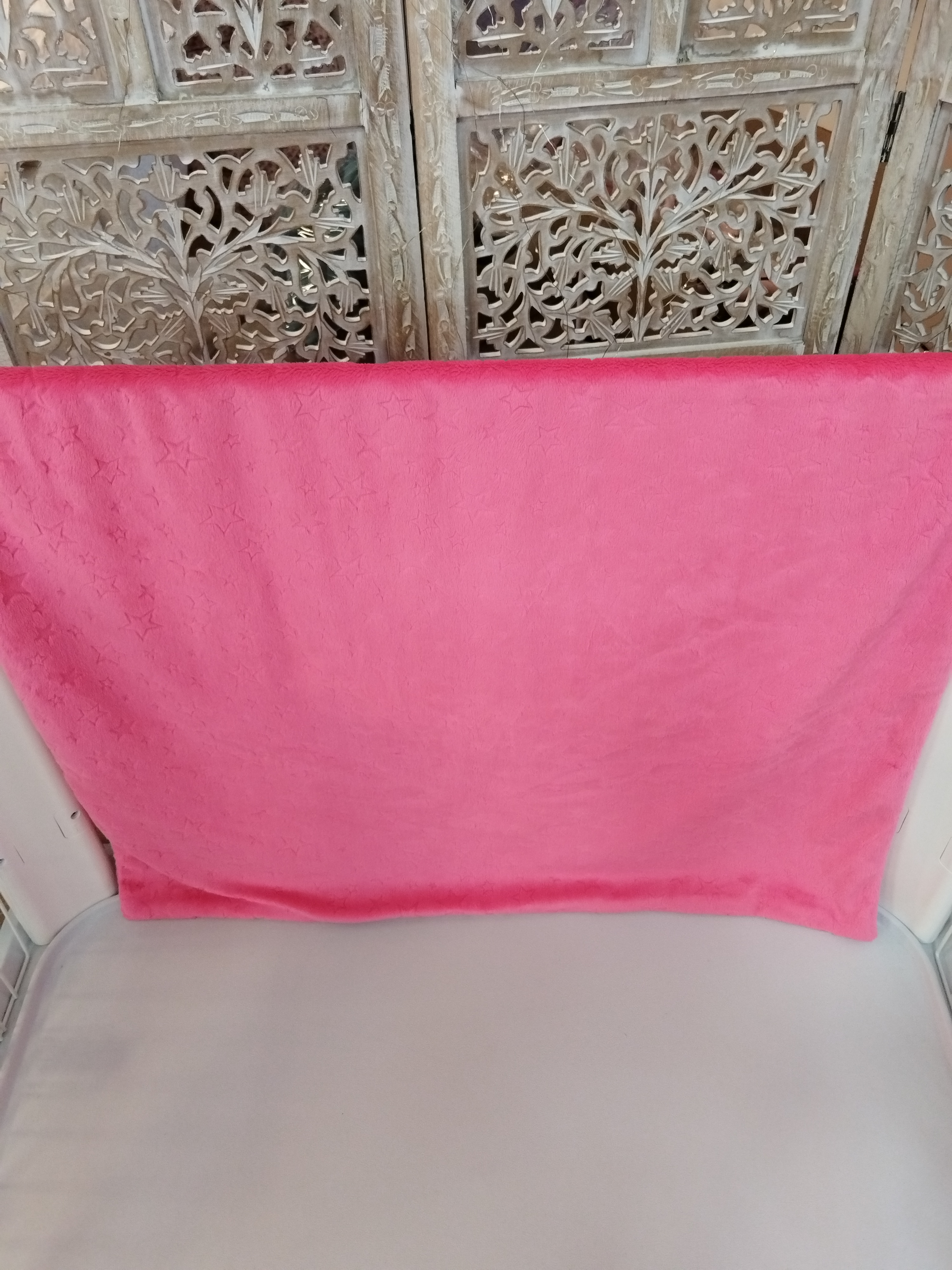 Grand Panneau Parc Iris Ohyama - Etoile Pasteque