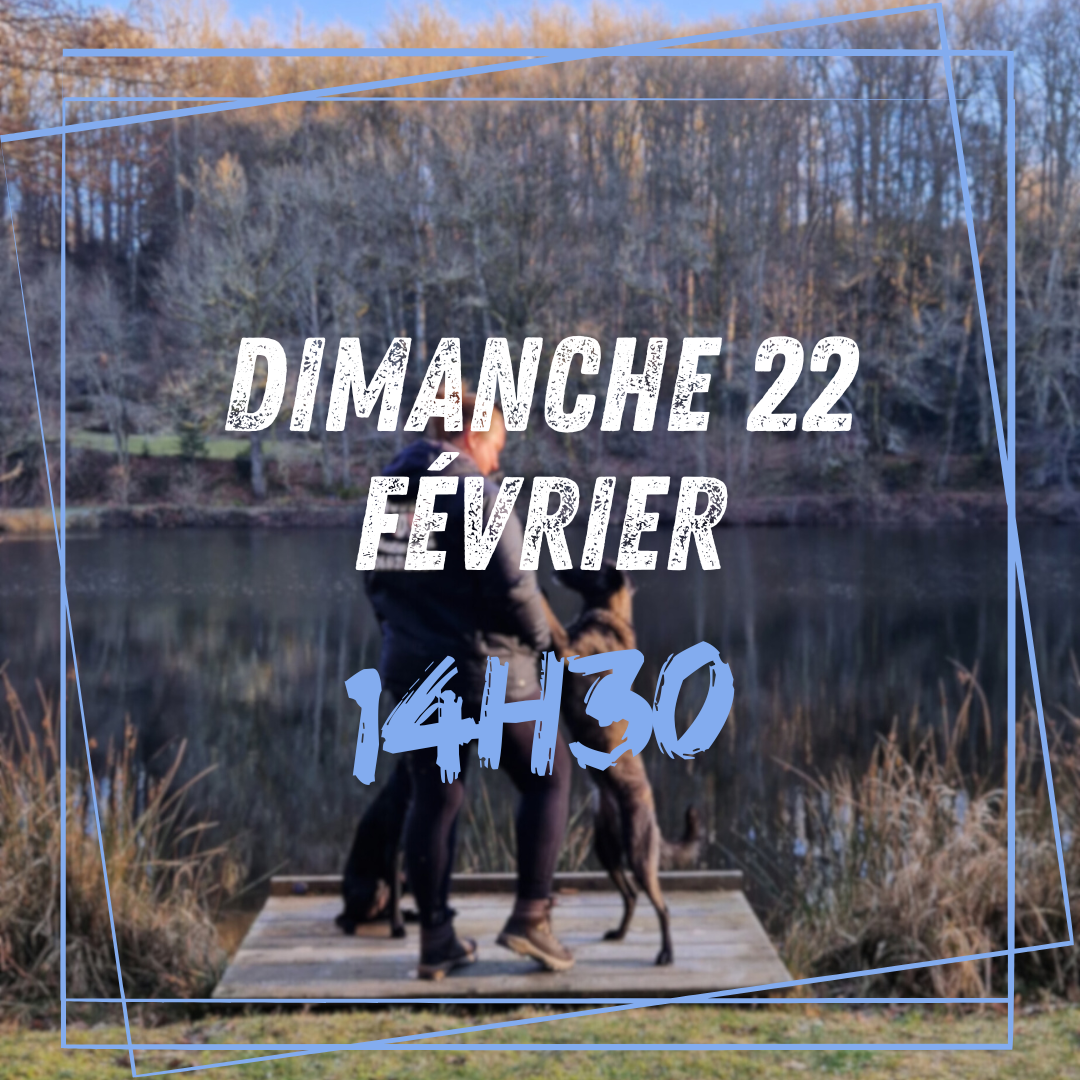 02~ Dimanche 22 Février 14h30