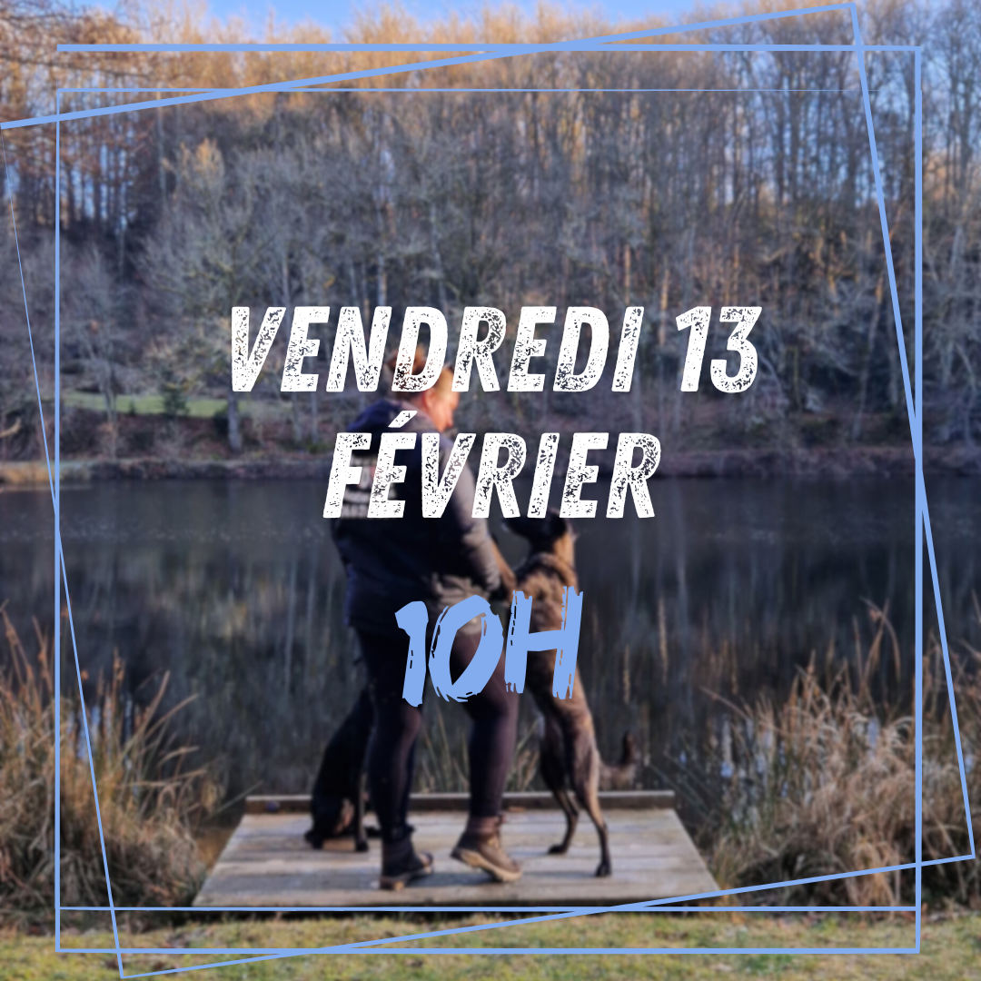 02~ Vendredi 13 Février 10h