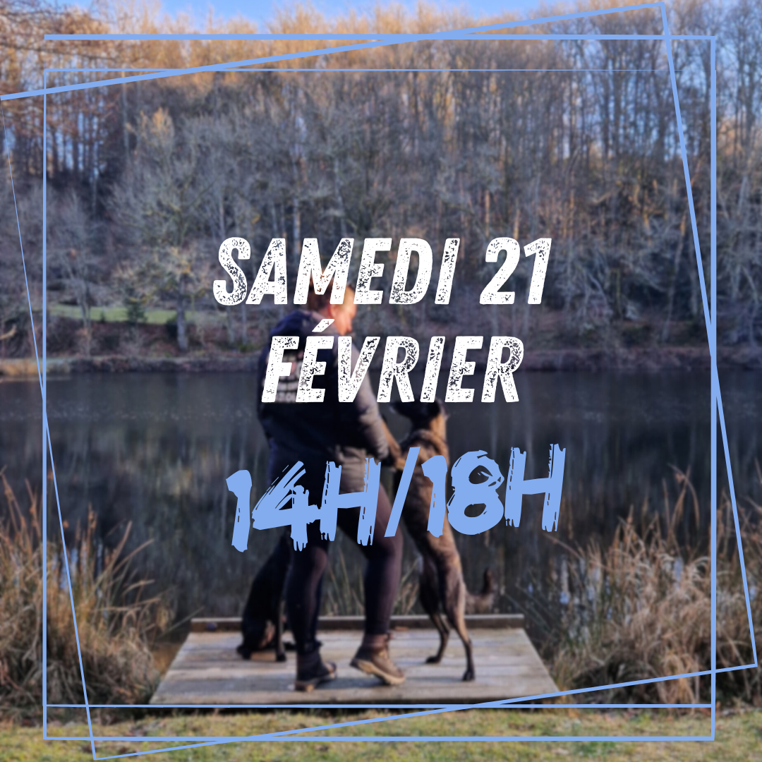 02~ Samedi 21 Février 14h/17h