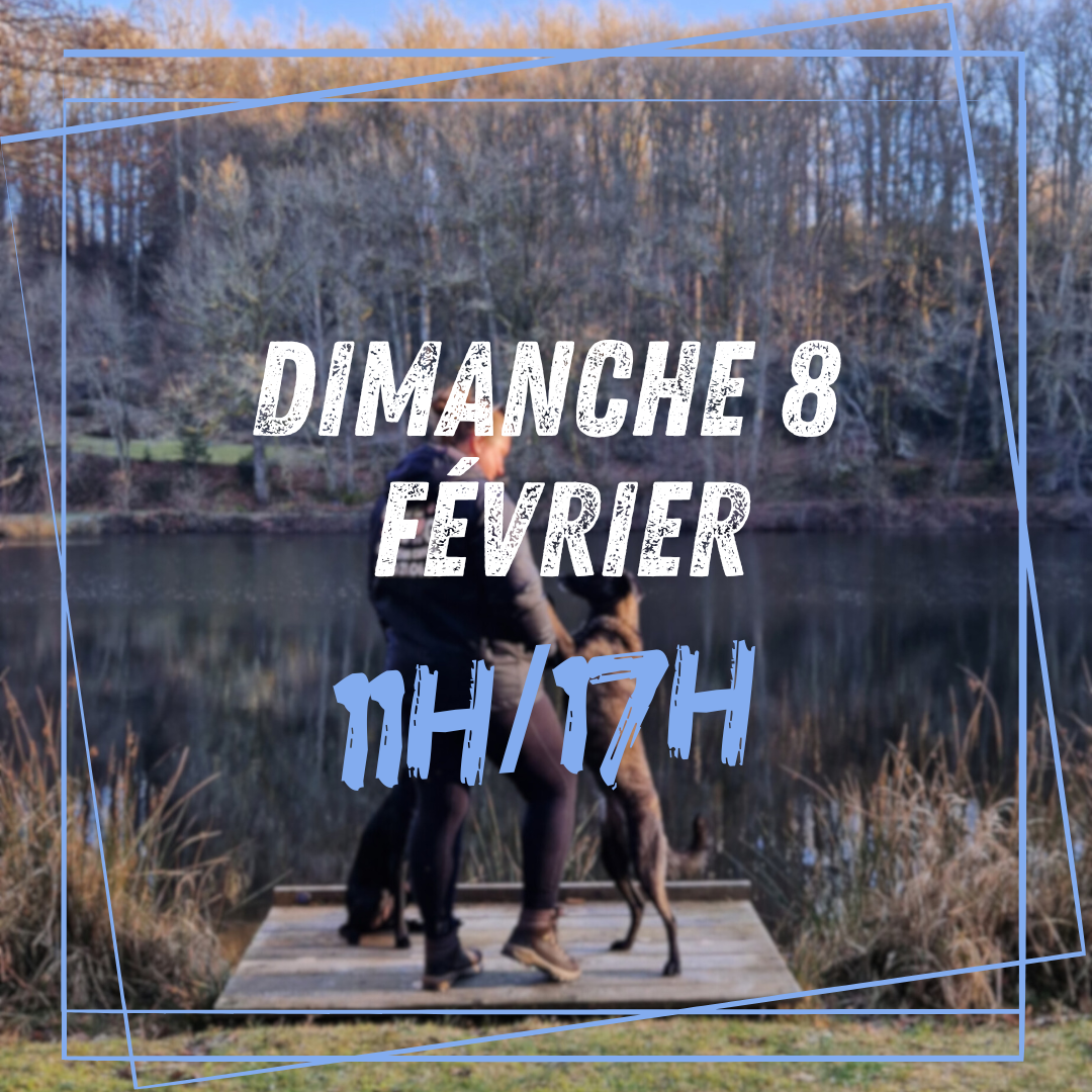 02~ Dimanche 8 Février 11h/17h