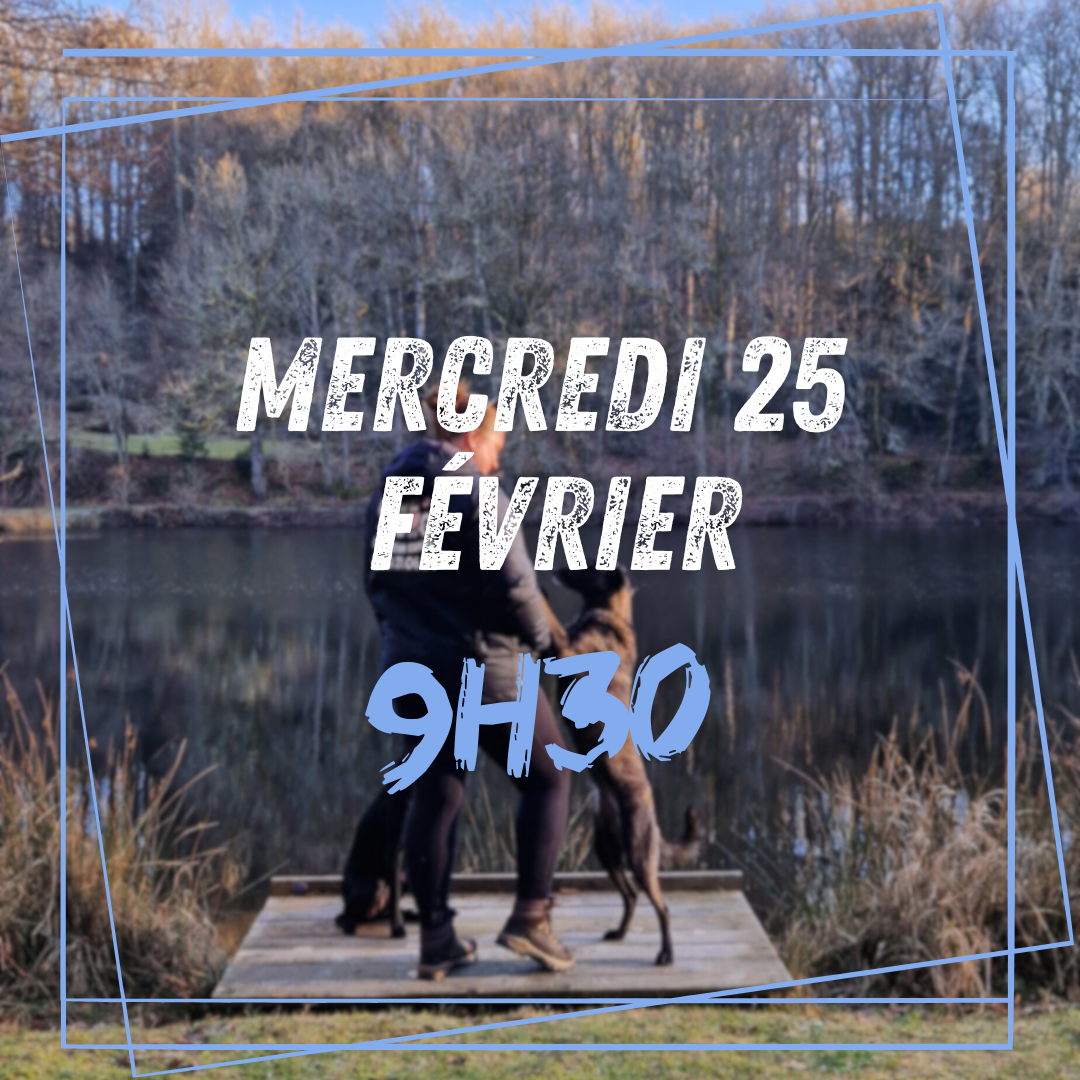 02~ Mercredi 25 Février 9h30