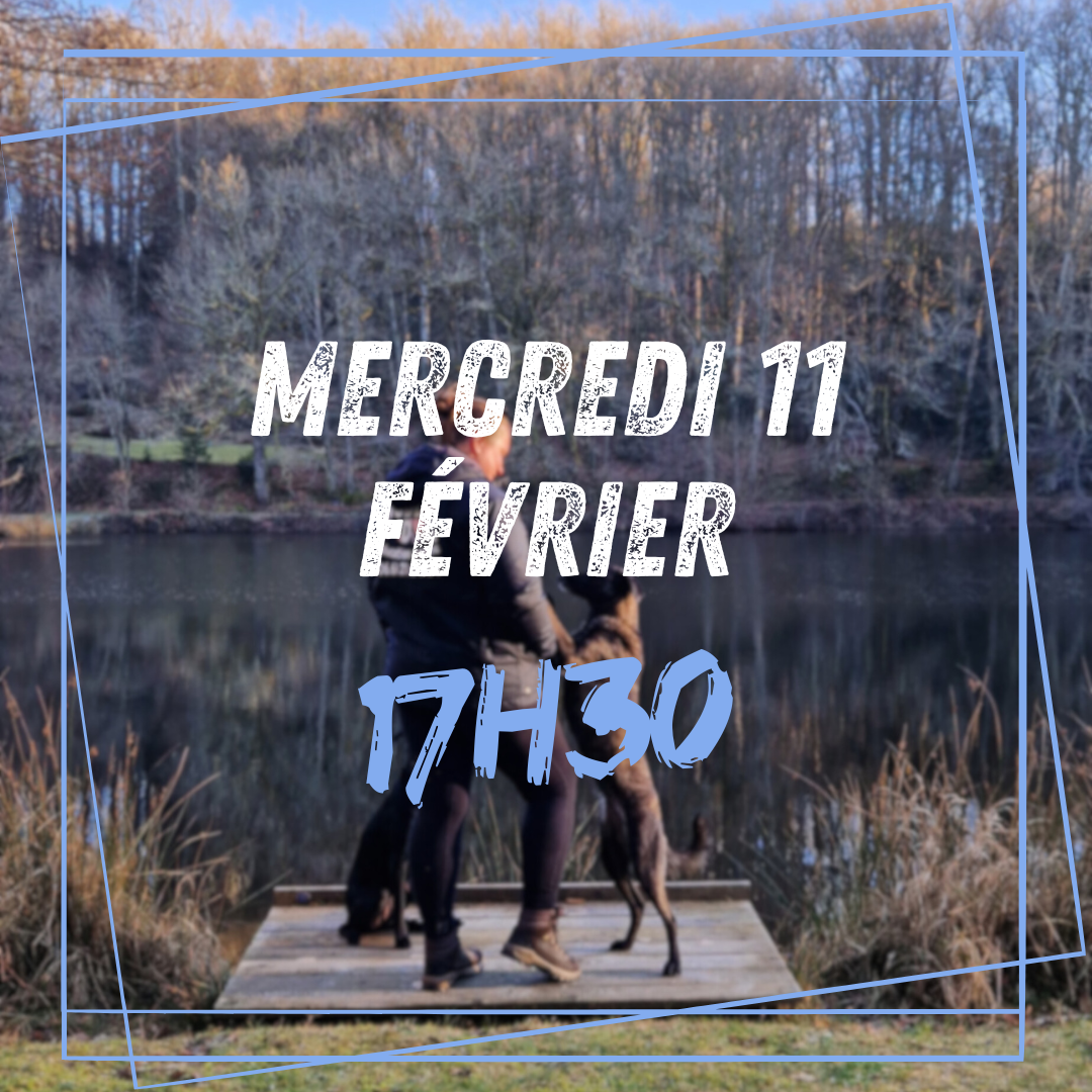 02~ Mercredi 11 Février 17h30