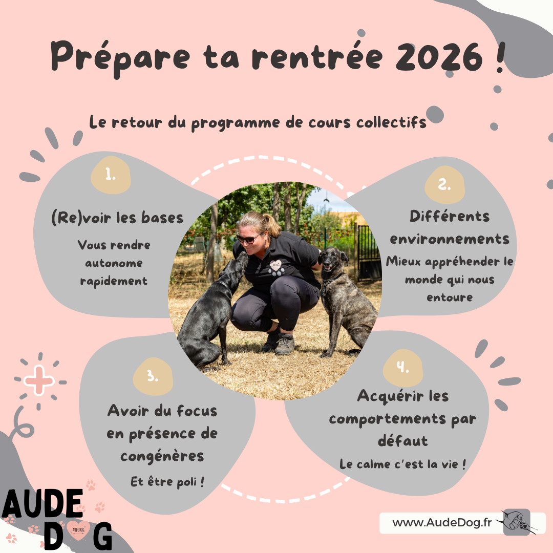 Programme 10 séances Janvier 2026