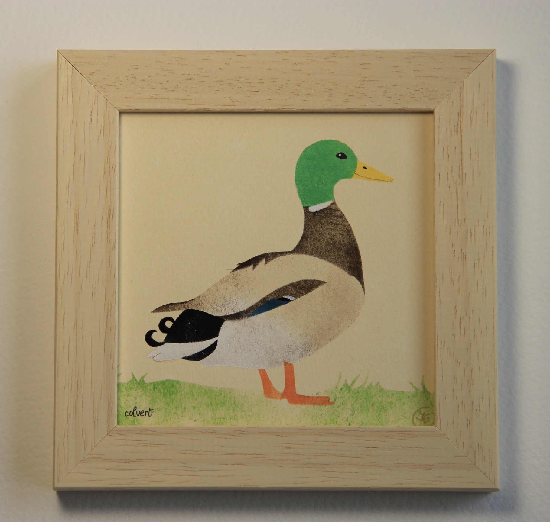 Canard Colvert
