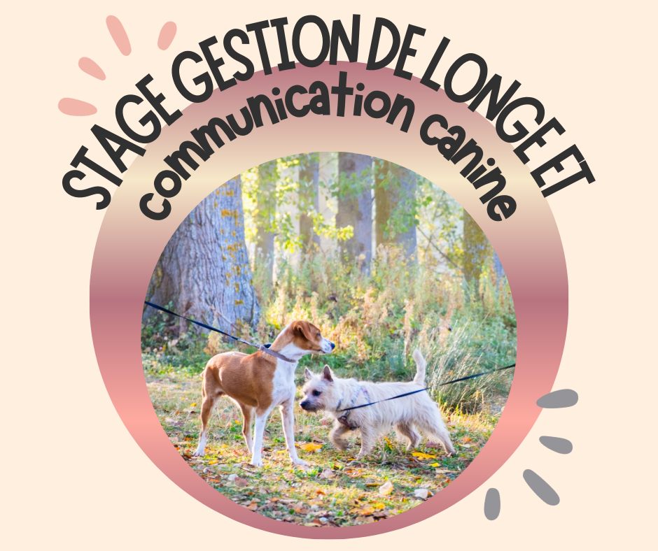 03~ Dimanche 15 Mars