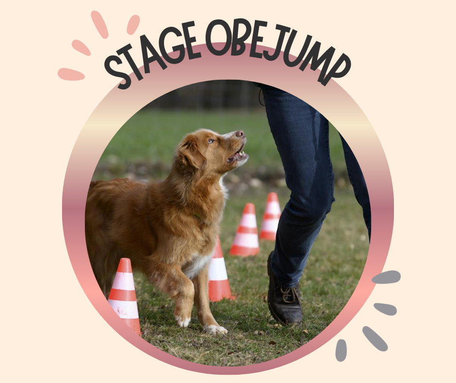 10~ Dimanche 25 Octobre