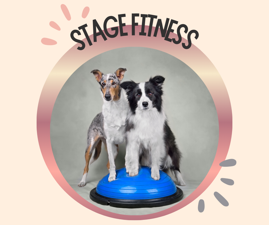 04~ Dimanche 19 Avril