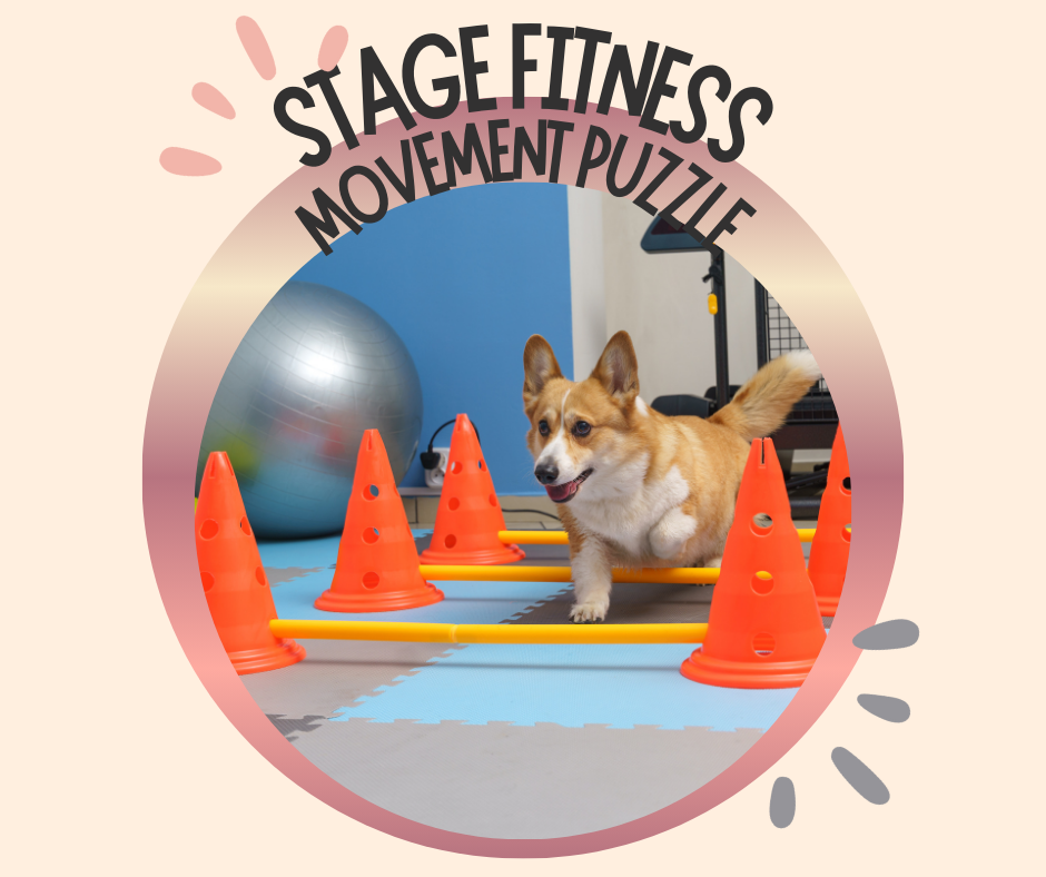 08~ Samedi 8 et Dimanche 9 Août