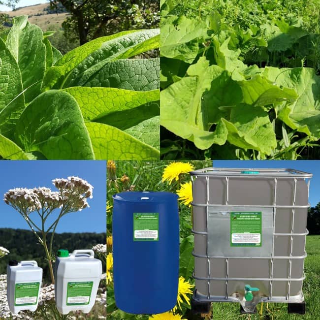 J2M OLIGO-ÉLÉMENTS-consoude-bardane-pissenlit-achillée-reine des prés