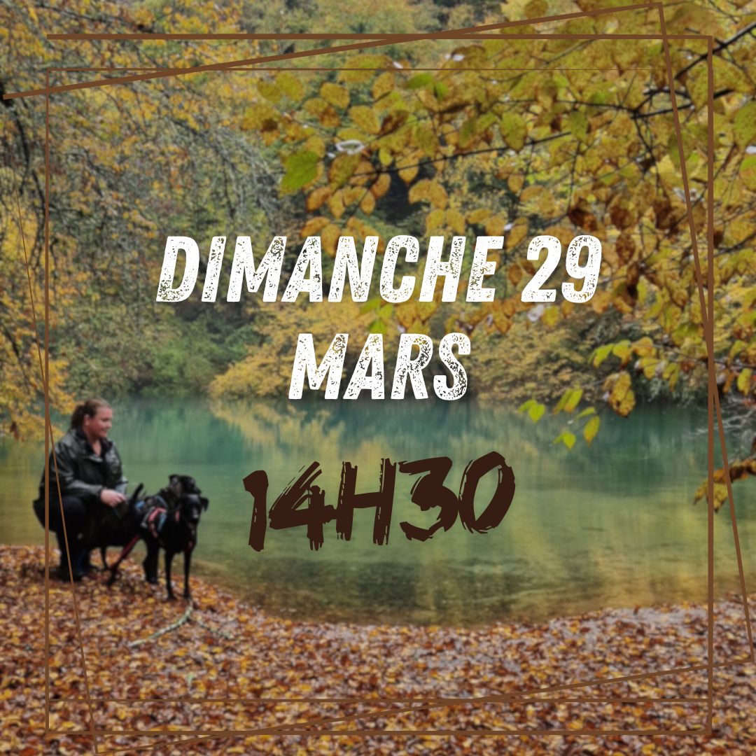 03~ Dimanche 29 Mars 14h30 