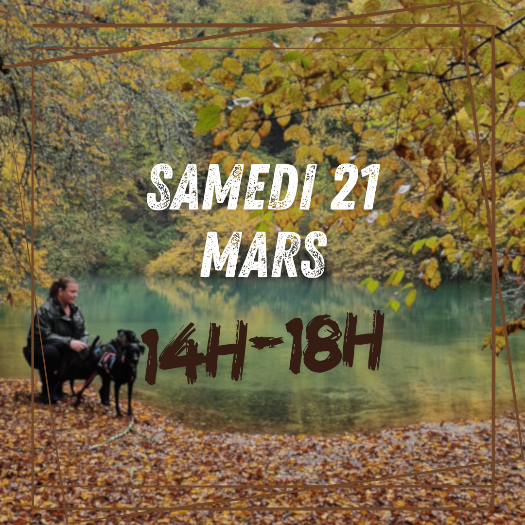 03~ Samedi 21 Mars 14h/17h
