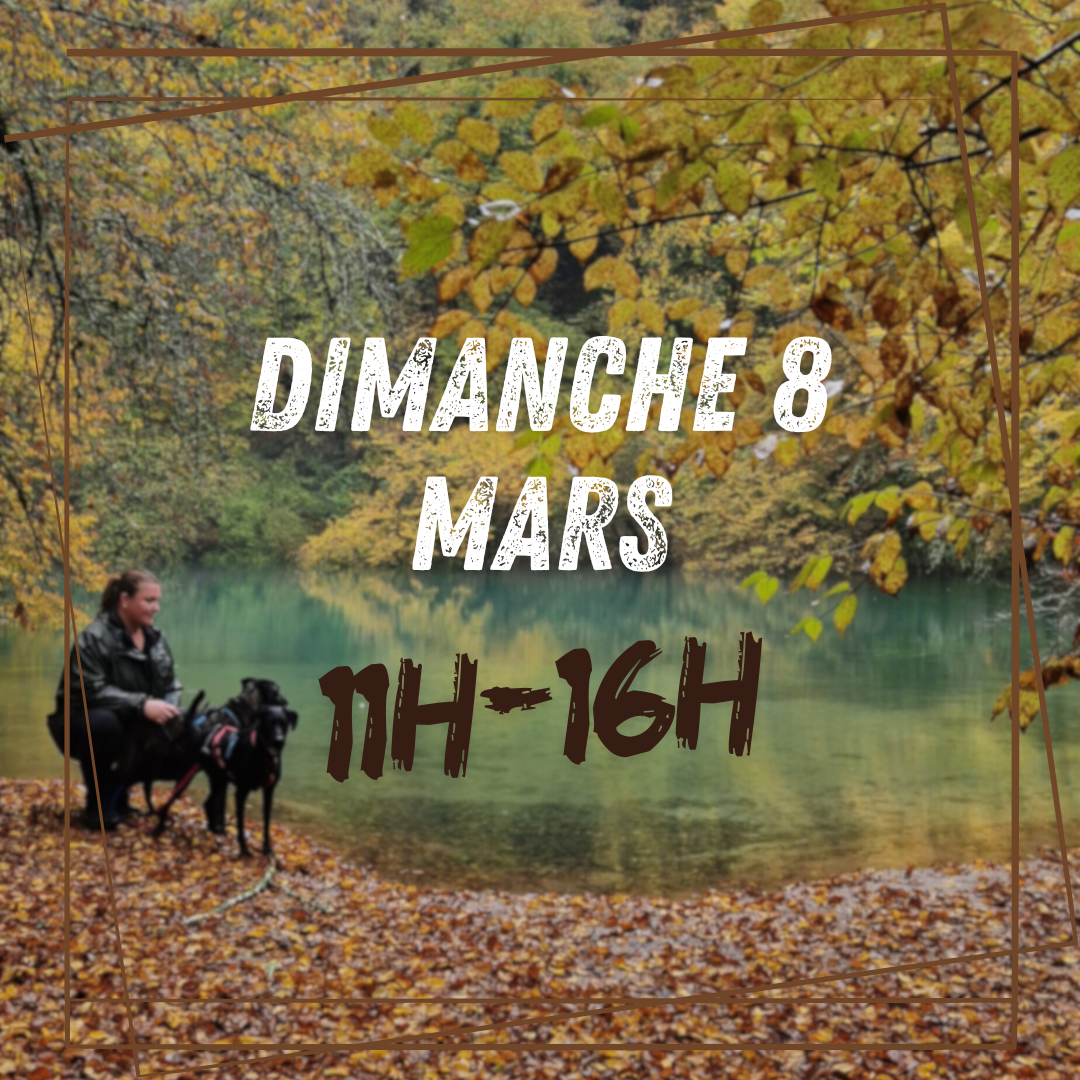 03~ Dimanche 8 Mars 11h/16h 