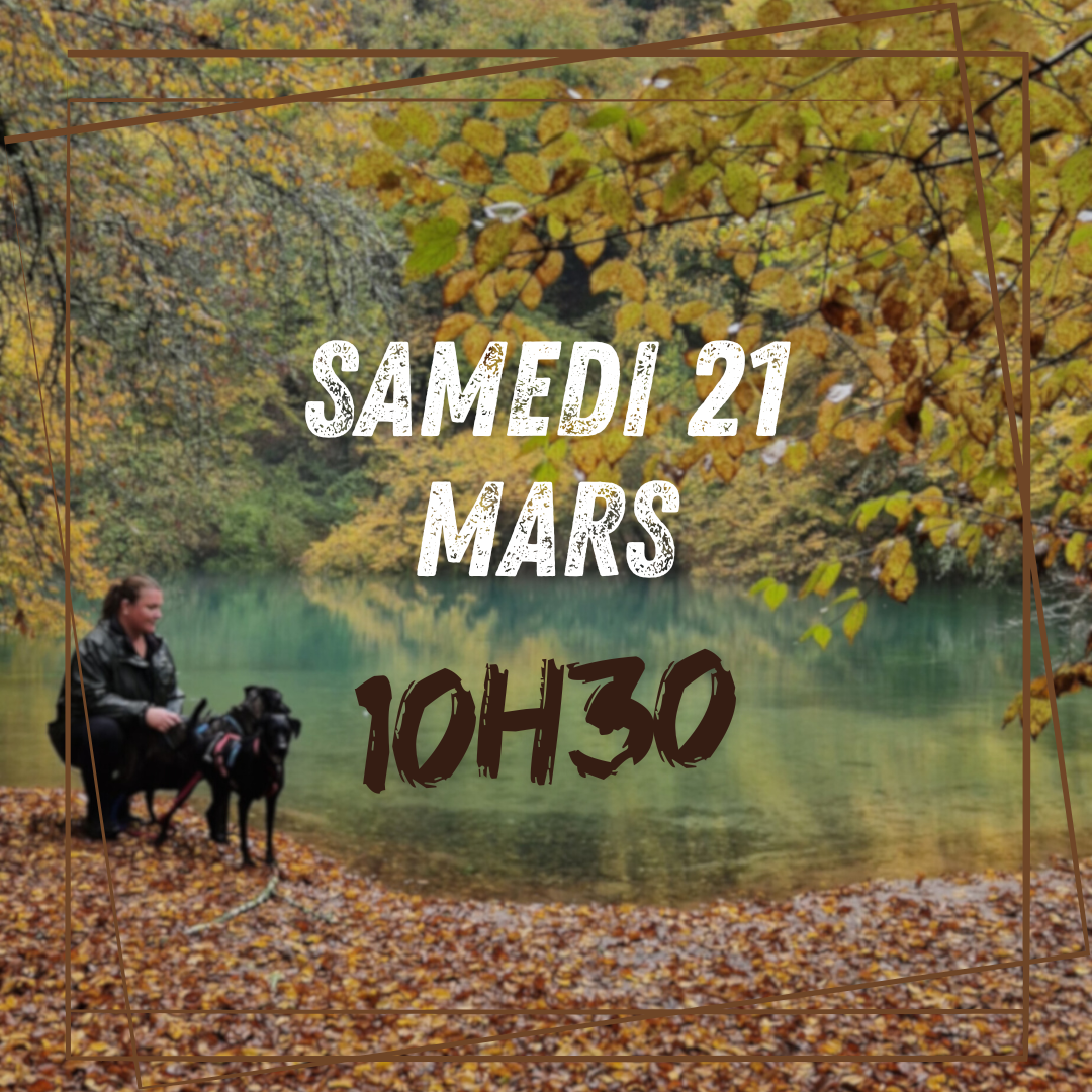 03~ Samedi 21 Mars 10h30 