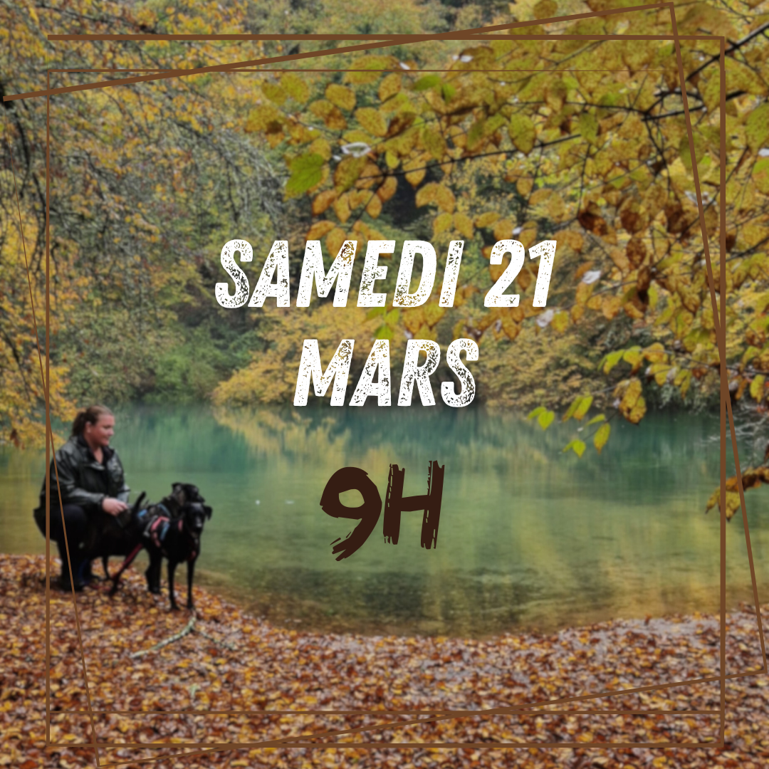 03~ Samedi 21 Mars 9h