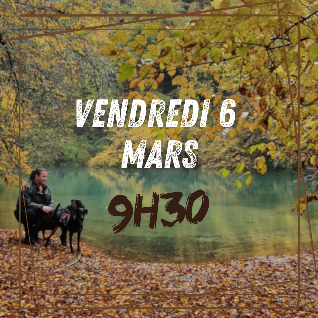 03~ Vendredi 6 Mars 9h30