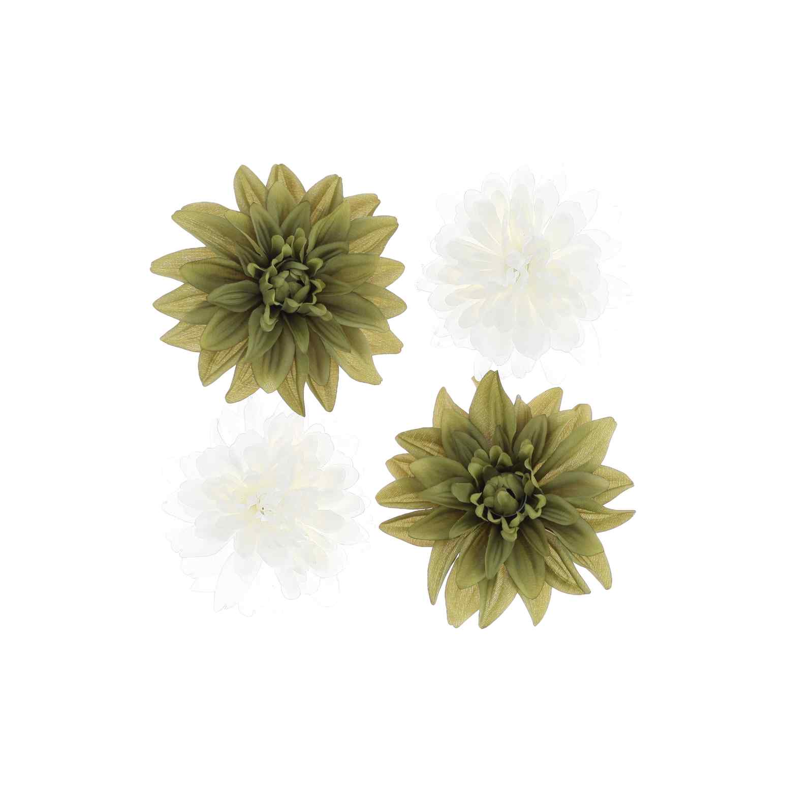 4 fleurs Dahlia pistache et crème 12/15 cm
