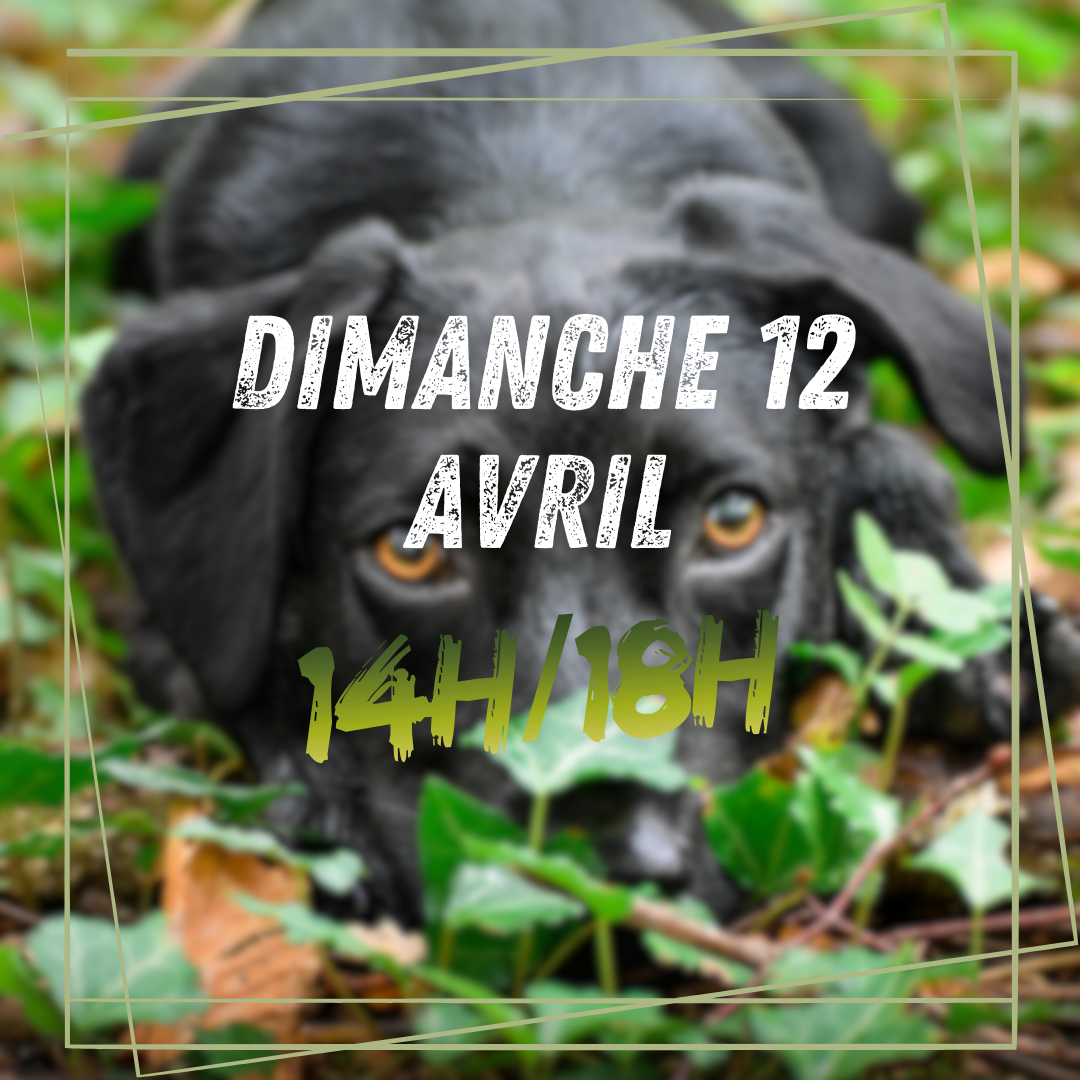 04~ Dimanche 12 Avril 14h/18h