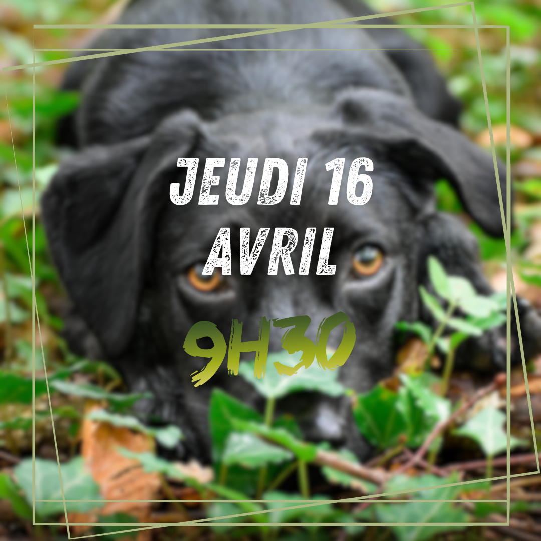 04~ Jeudi 16 Avril 9h30