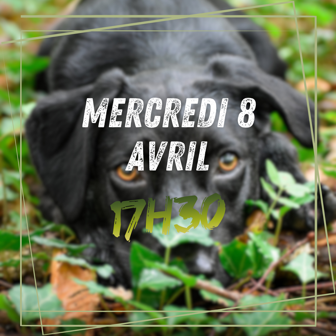 04~ Mercredi 8 Avril 17h30