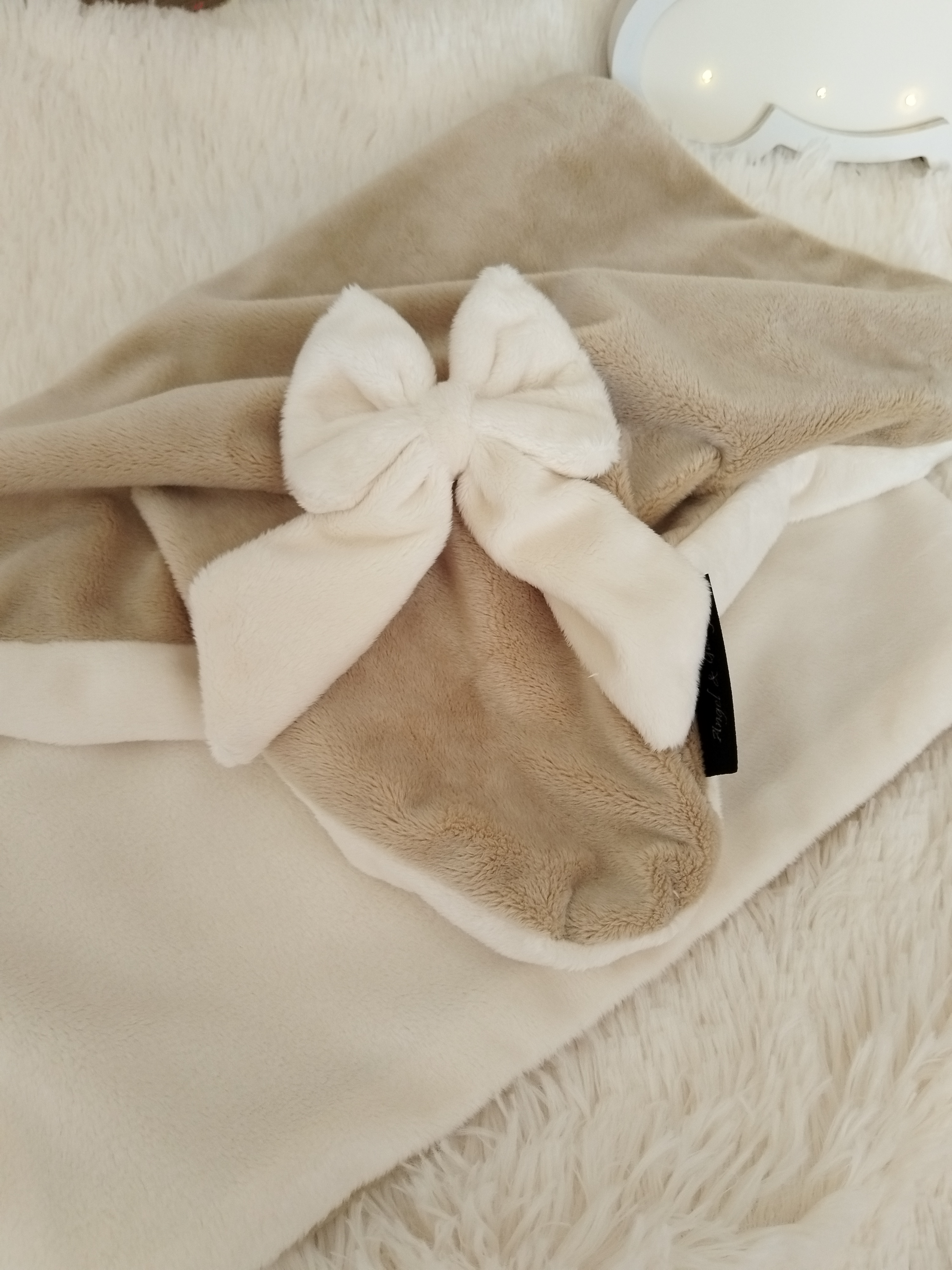 Couverture T1 Caramel Vanille