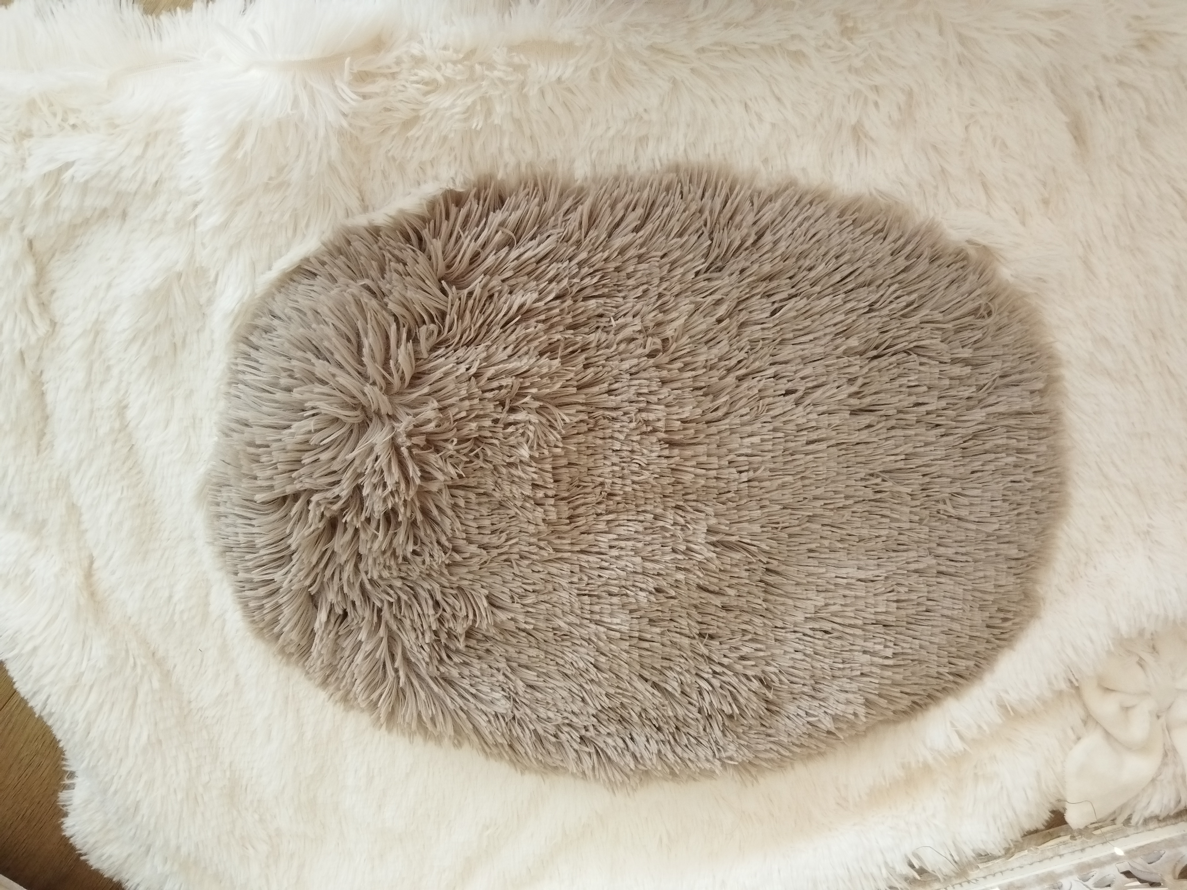 Housse Danse des Saison - Mocca