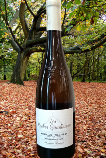 MOUZILLON-TILLIERES 2022