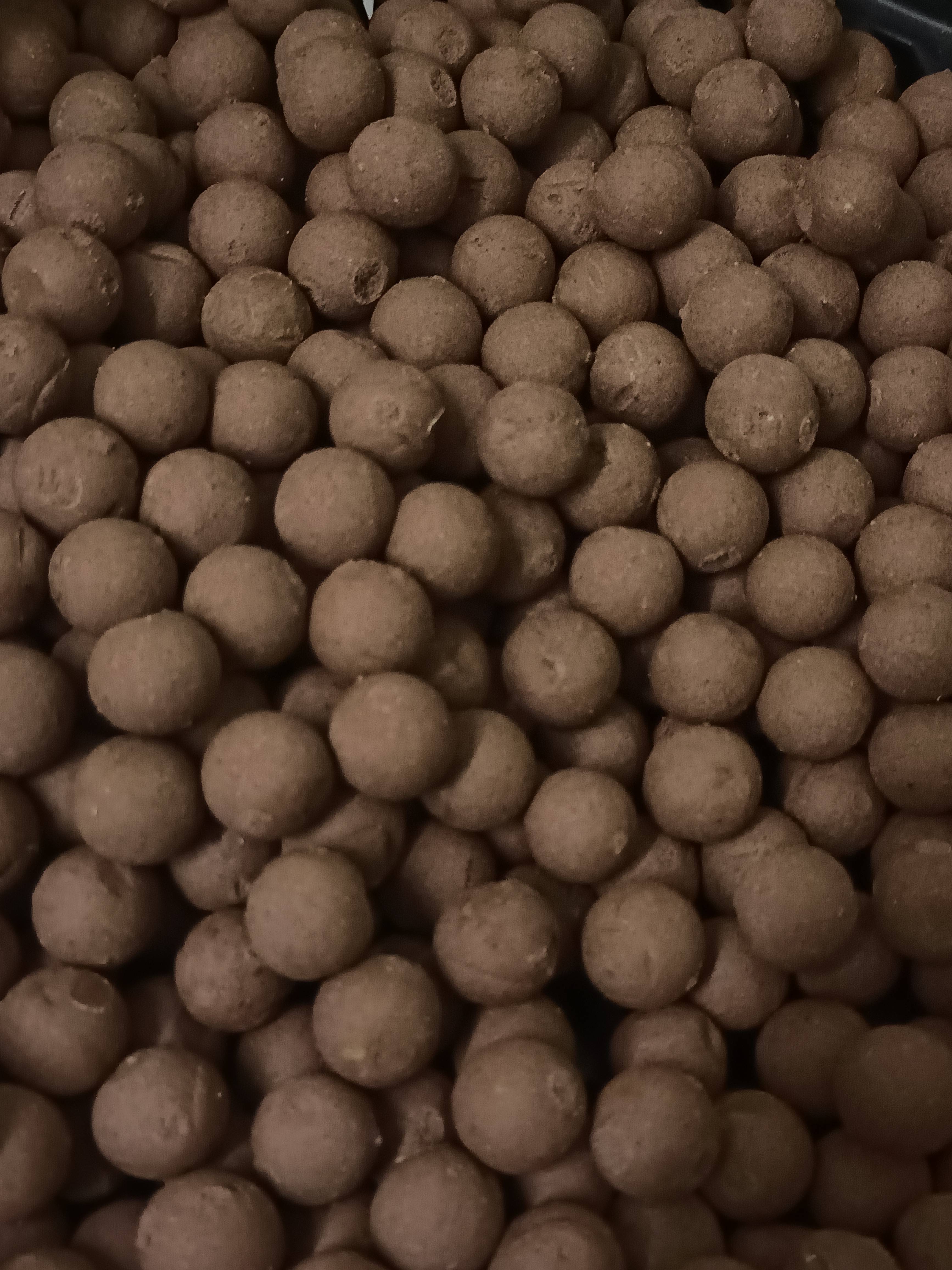 Pop-up Pro-P enrichi au pellet T-Prima