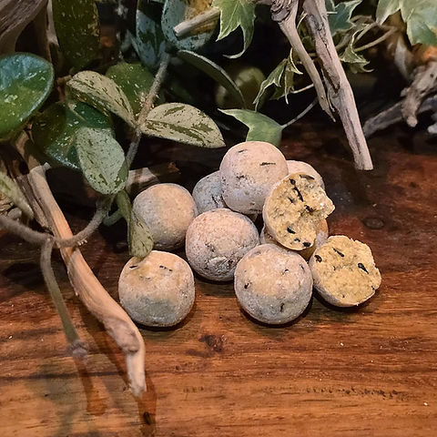 Lait-Fraise PRESTIGE 1kg