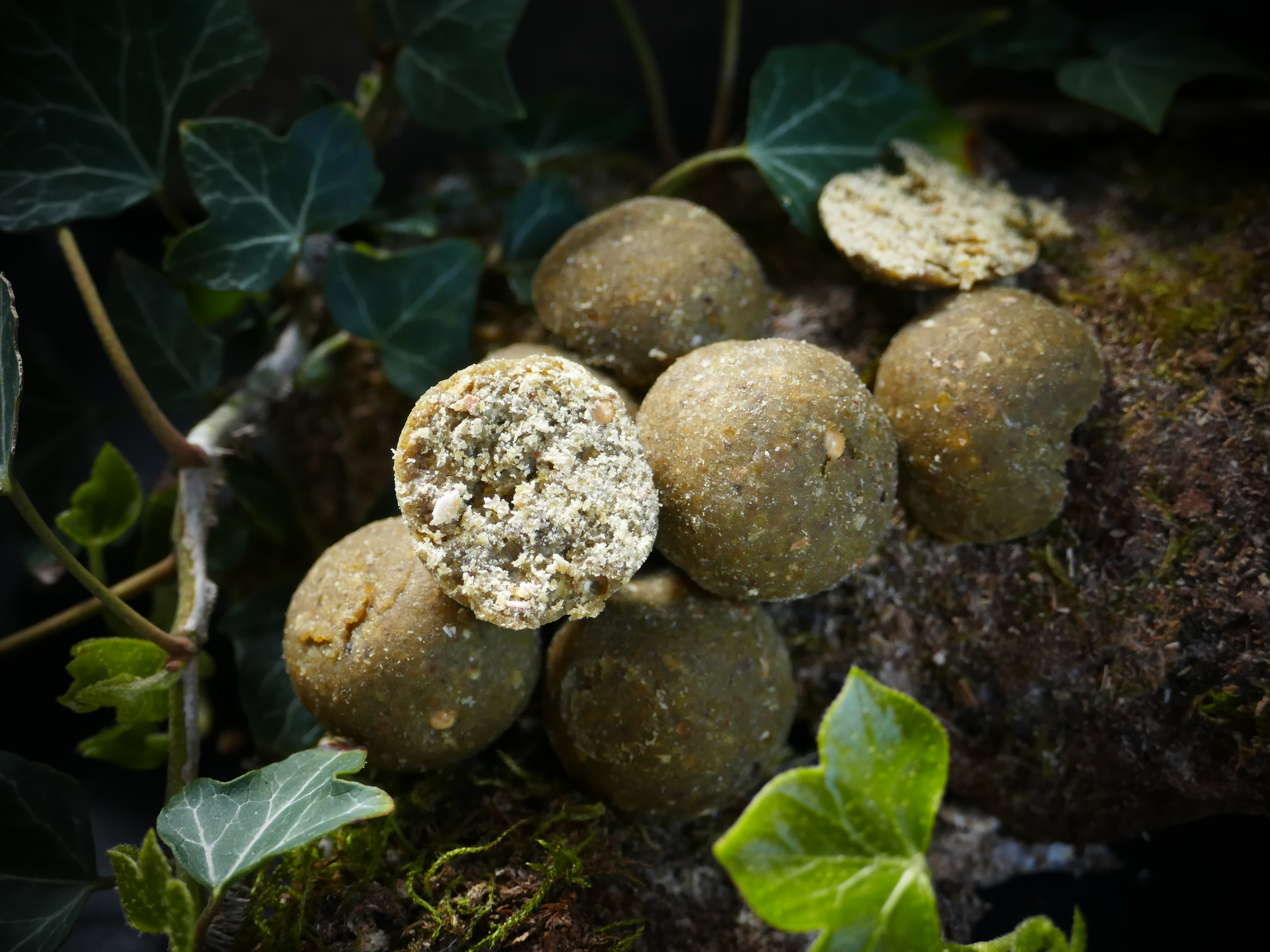 Green-Squid PRESTIGE 1kg