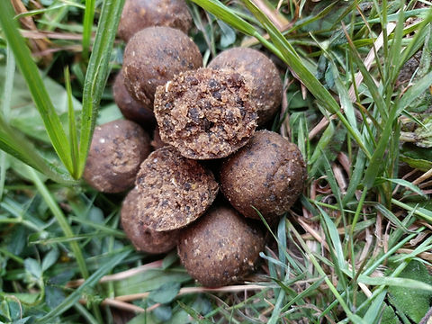 Pro-P (pellets) PRESTIGE 1kg