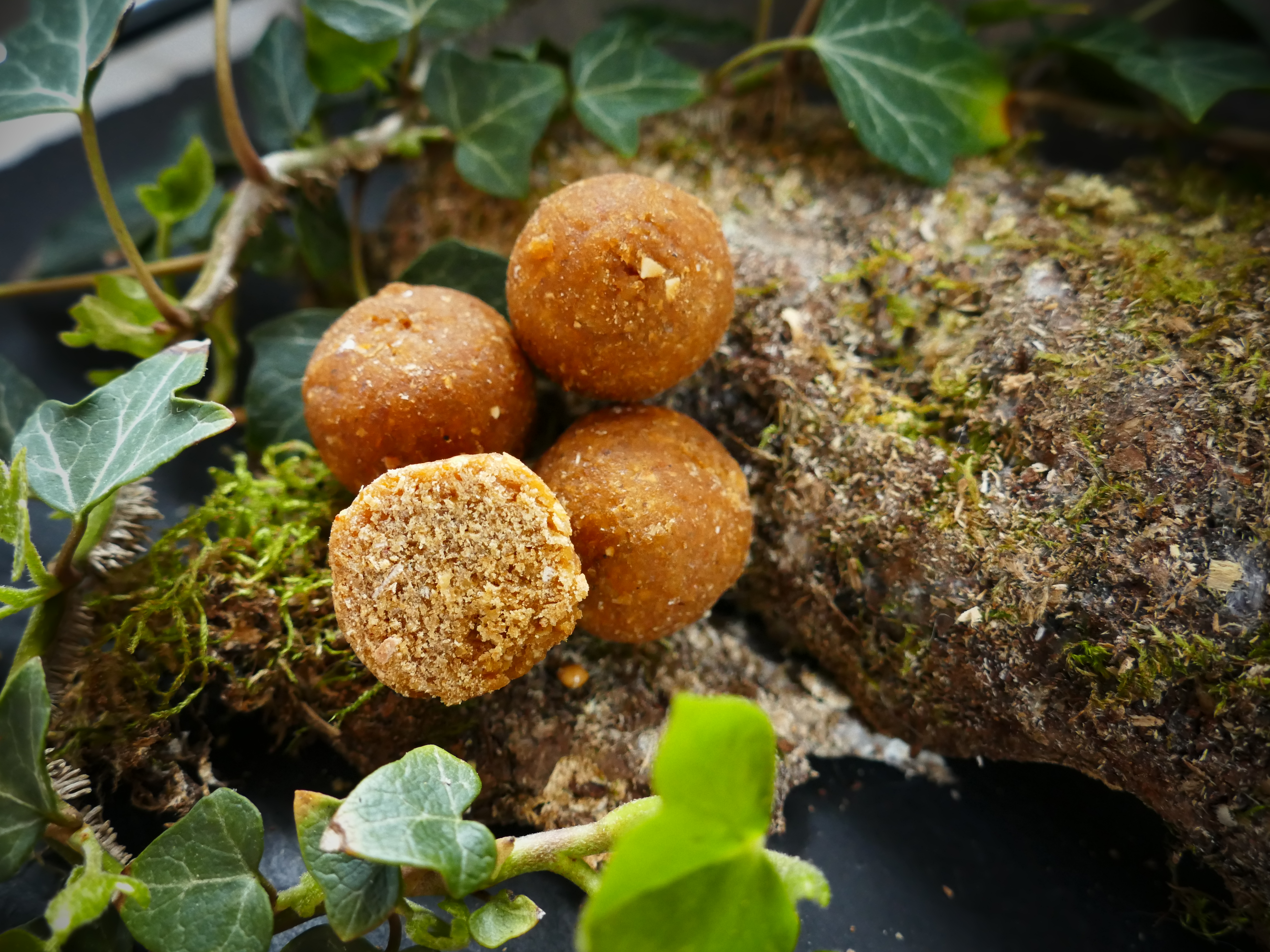 Spicy-Fish STANDARDS 5kg