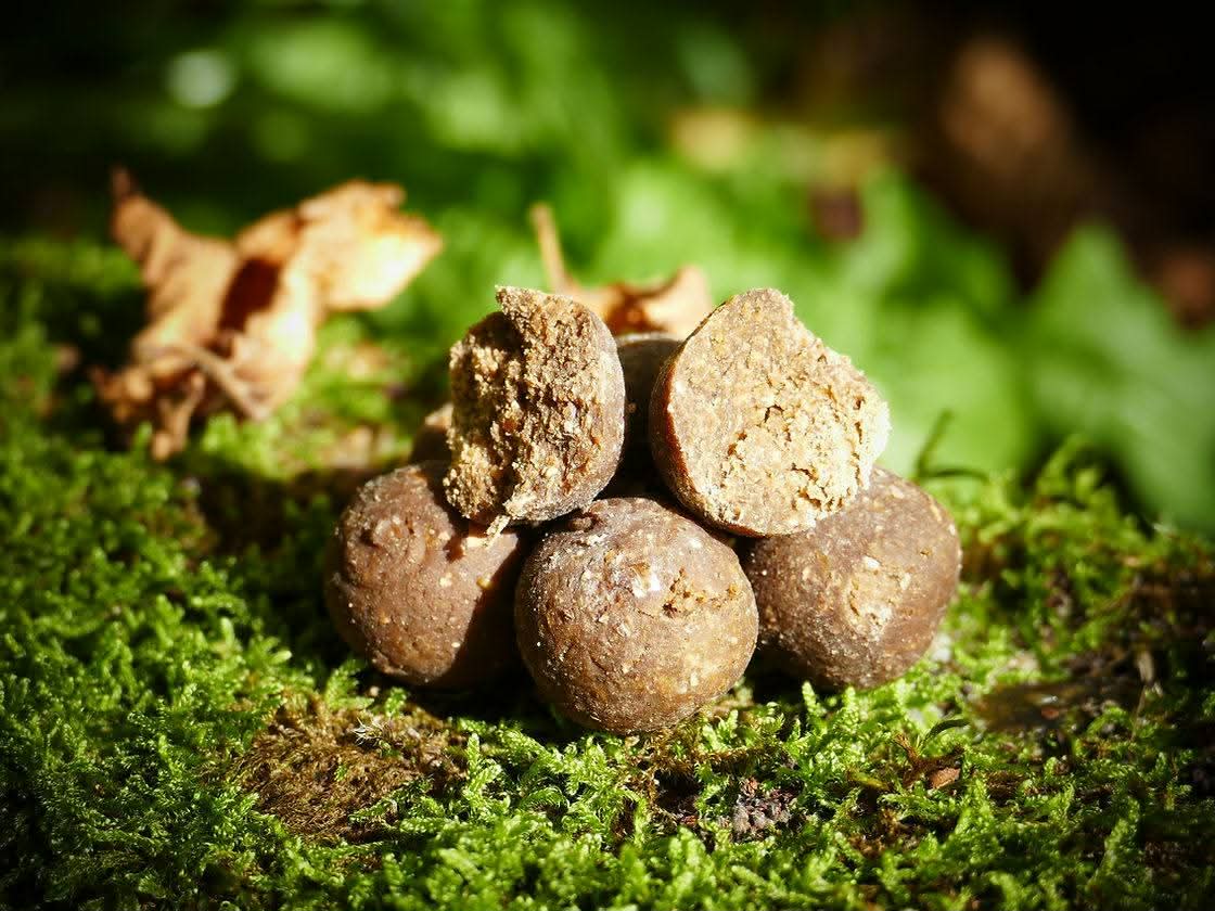 Thon Foie Scopex STANDARD 5kg