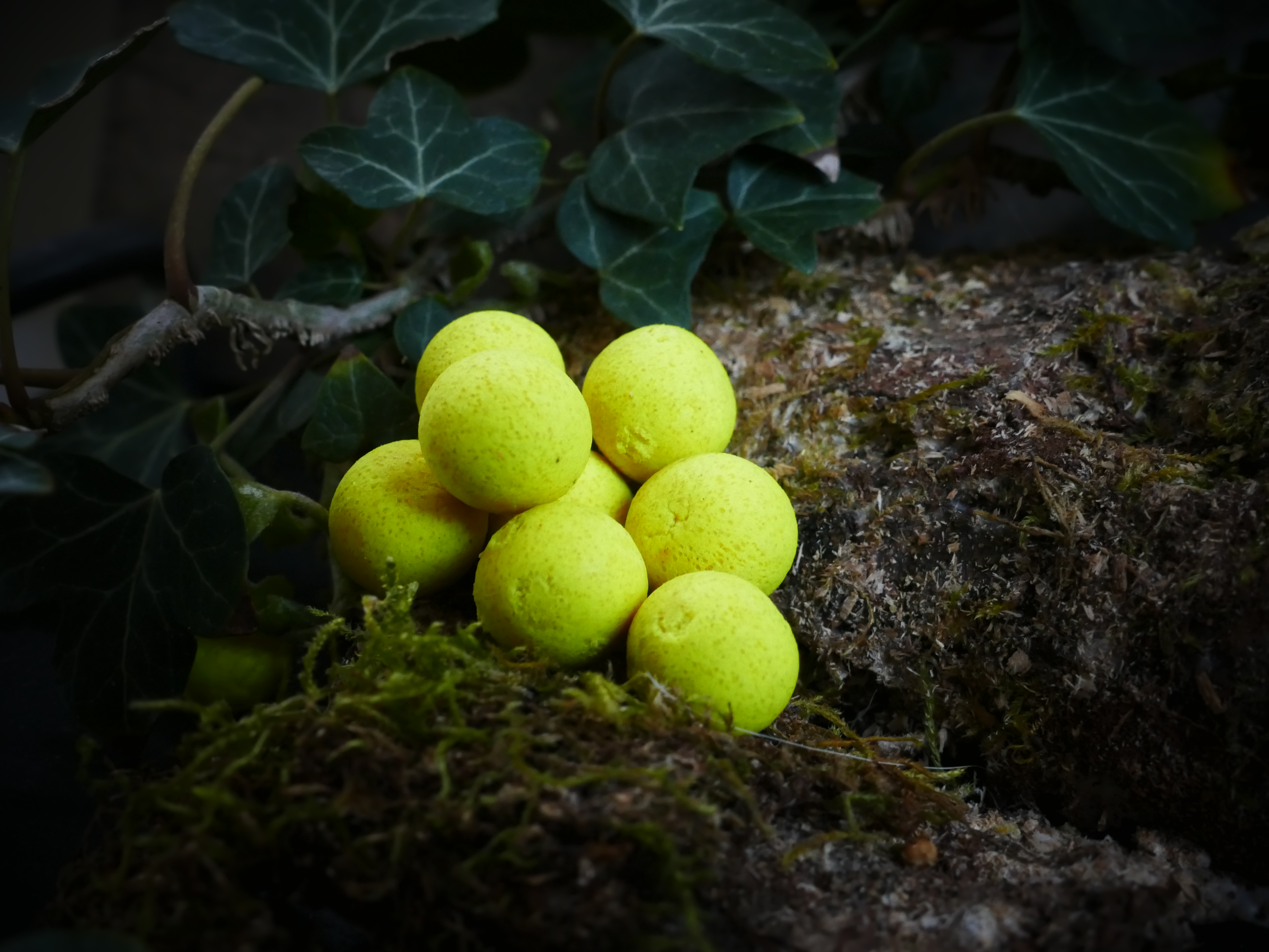 Pop-Up Banana-Scop jaune