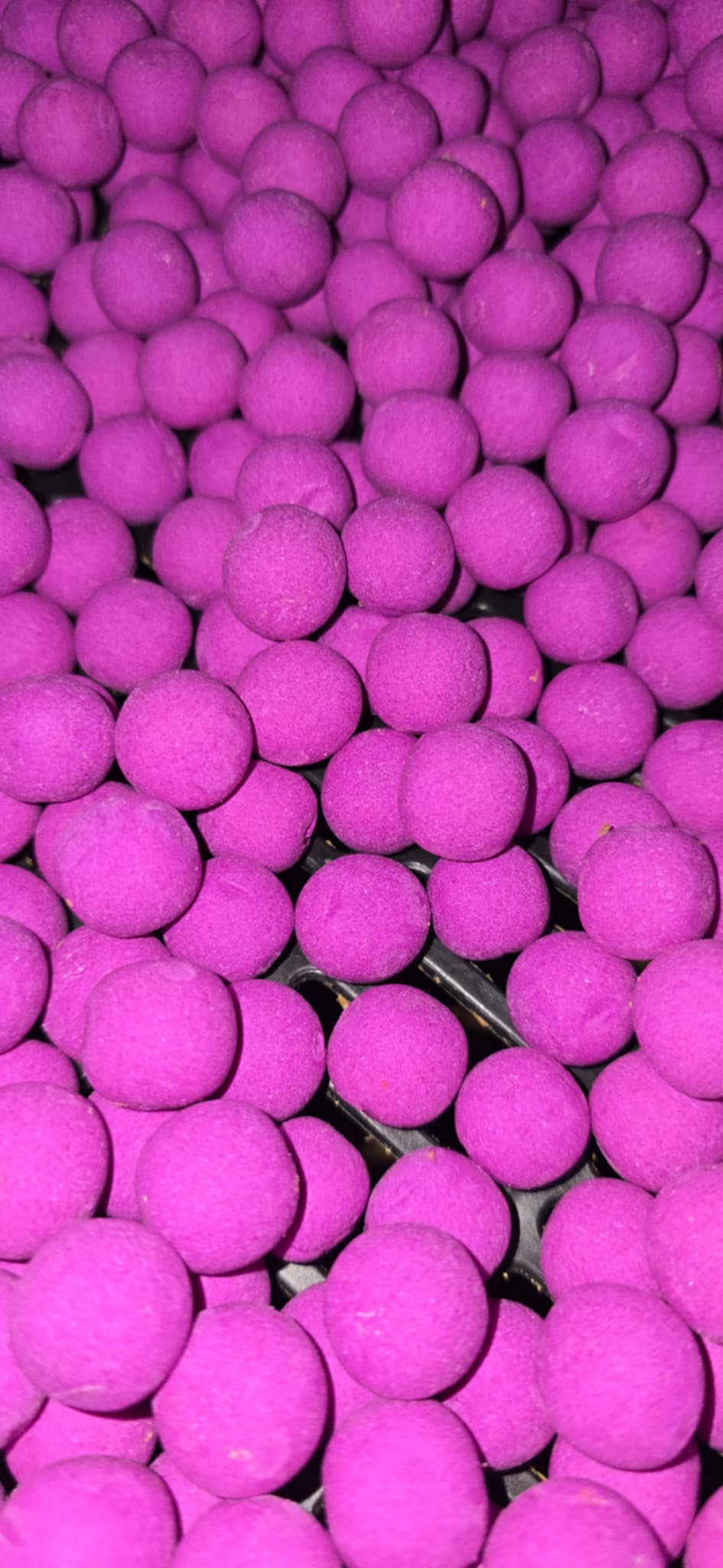 Pop-Up Thon Foie Scopex