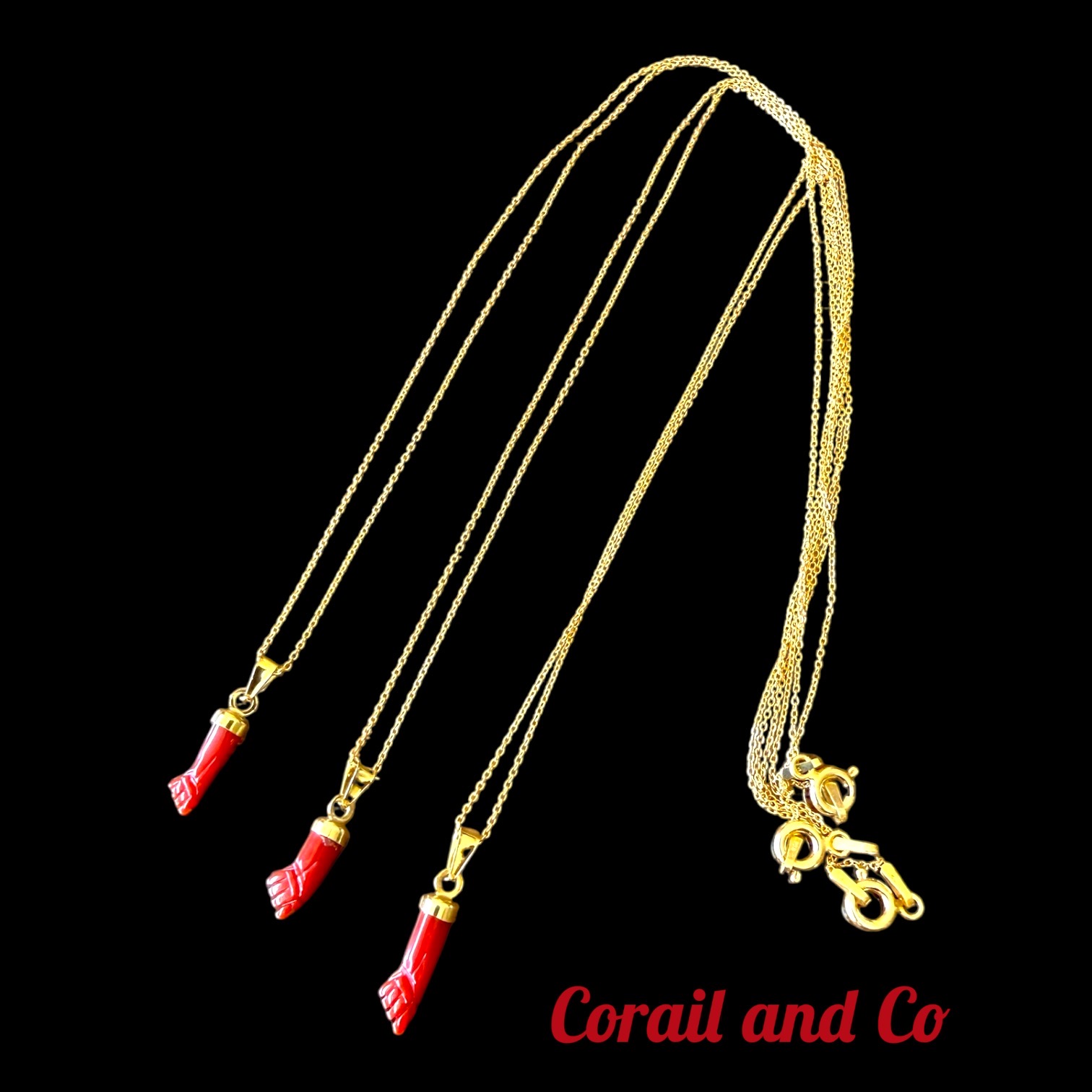 a Main de protection corse en corail avec chaine fine plaqué or