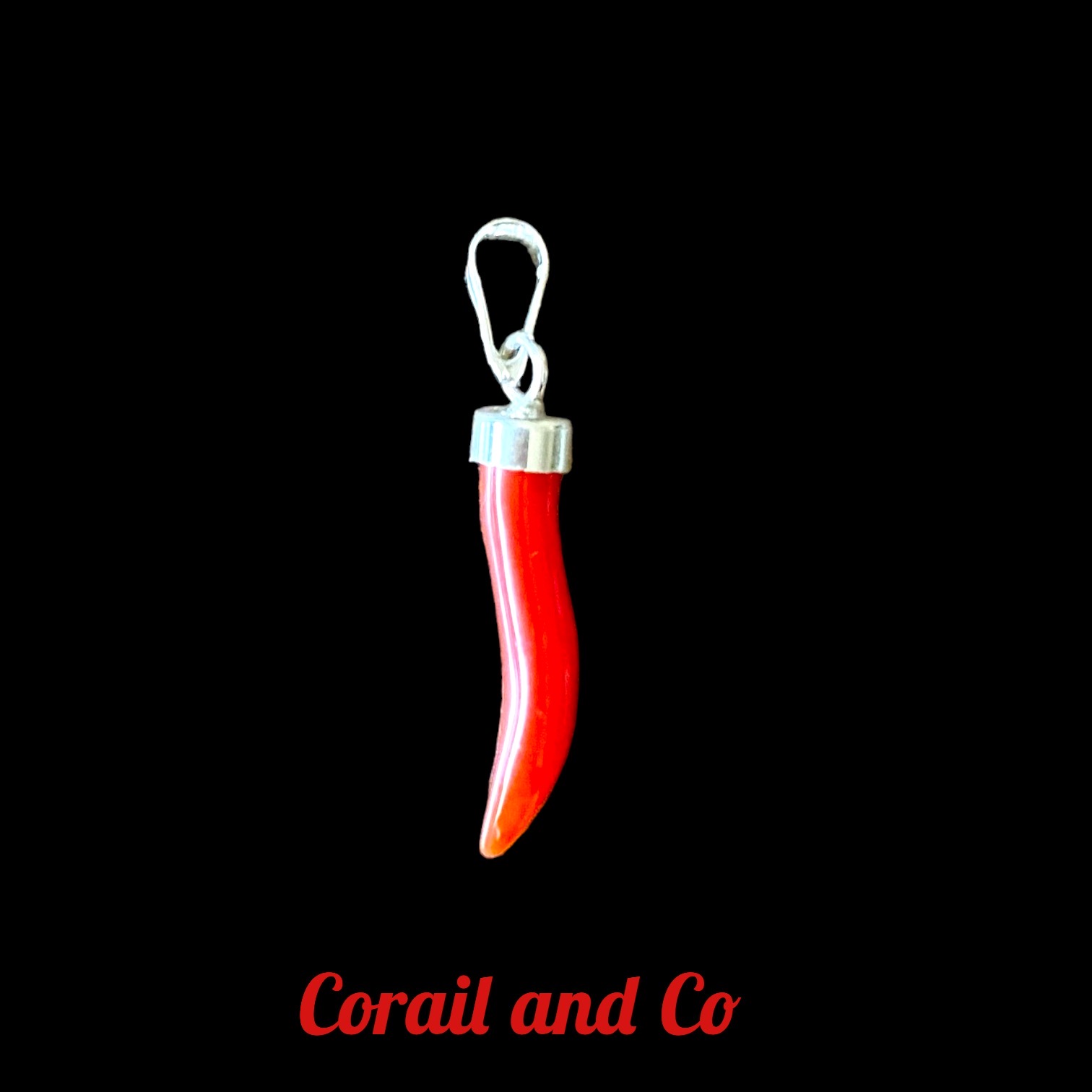abc Petite corne d'abondance en corail argent