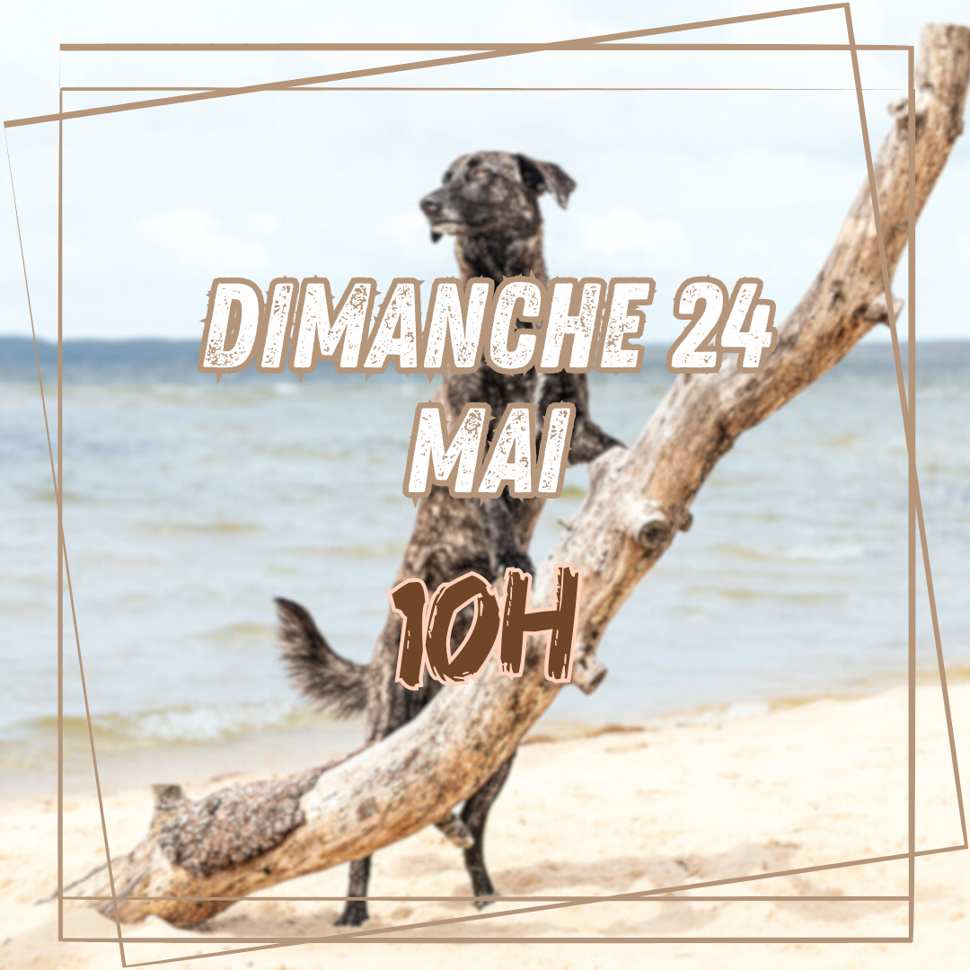 05~ Dimanche 24 Mai 10h