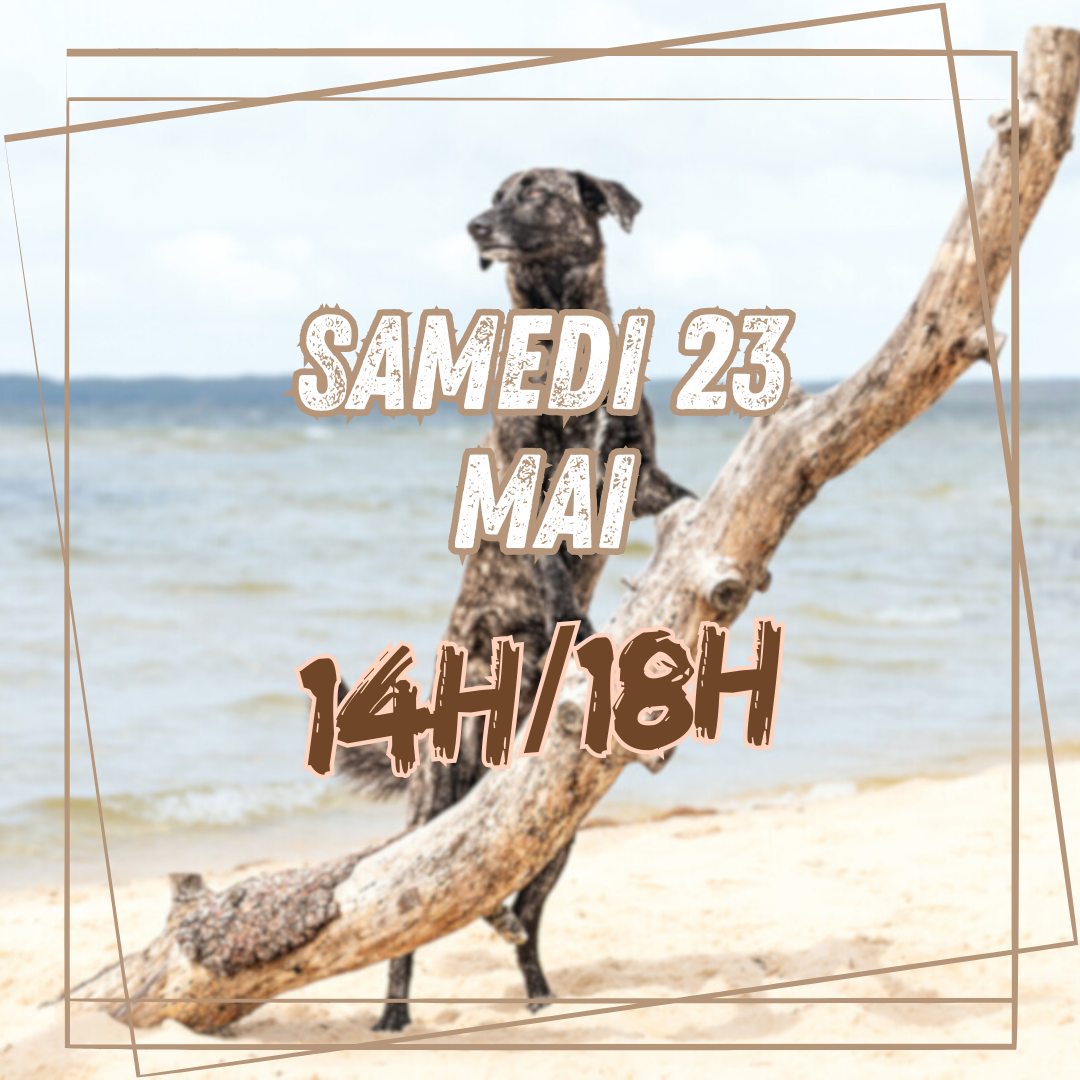 05~ Samedi 23 Mai 14h/18h