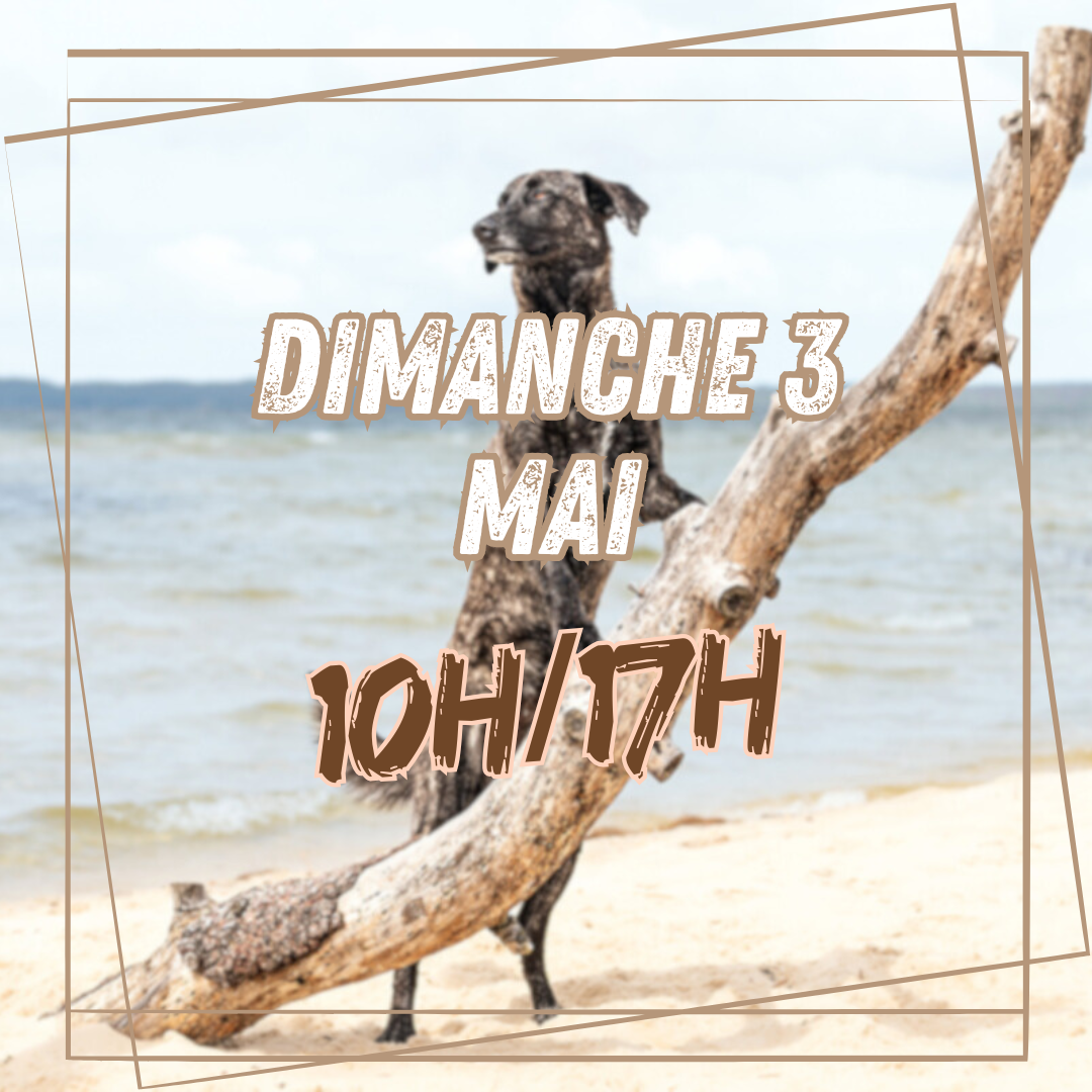 05~ Dimanche 3 Mai 10h/17h