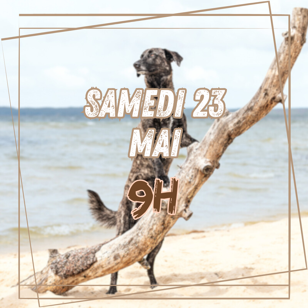 05~ Samedi 23 Mai 9h